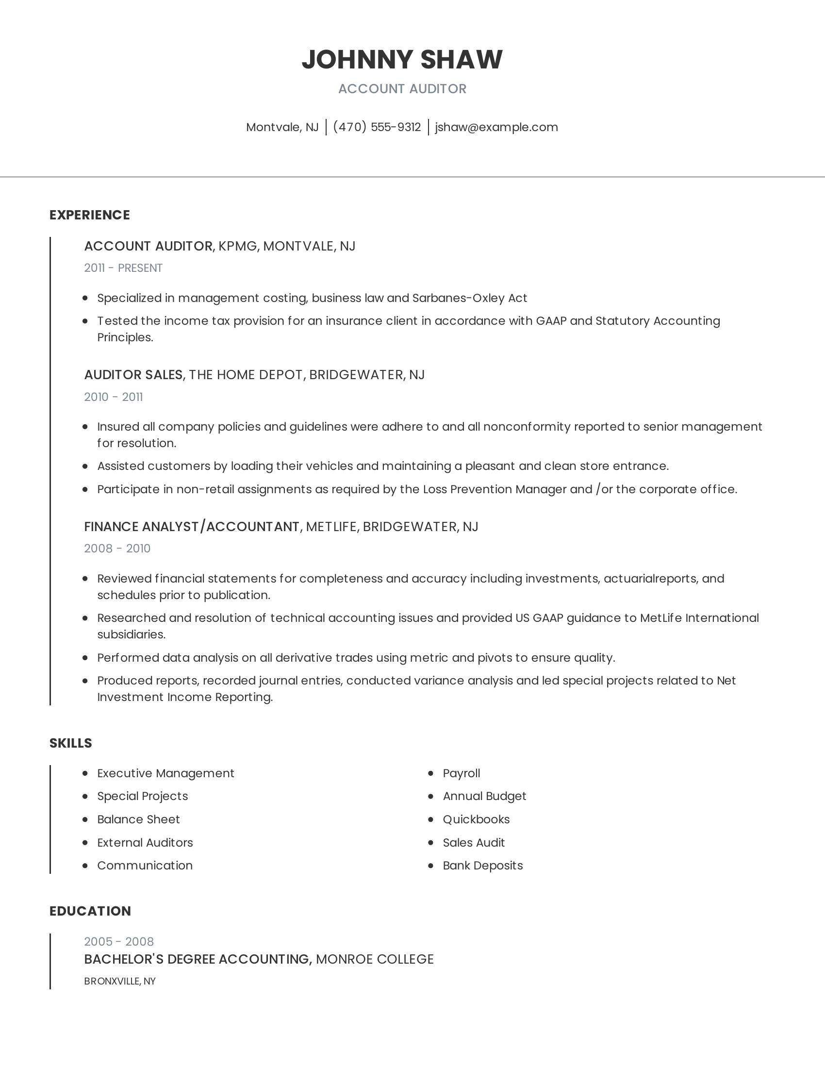 Account Auditor resume example