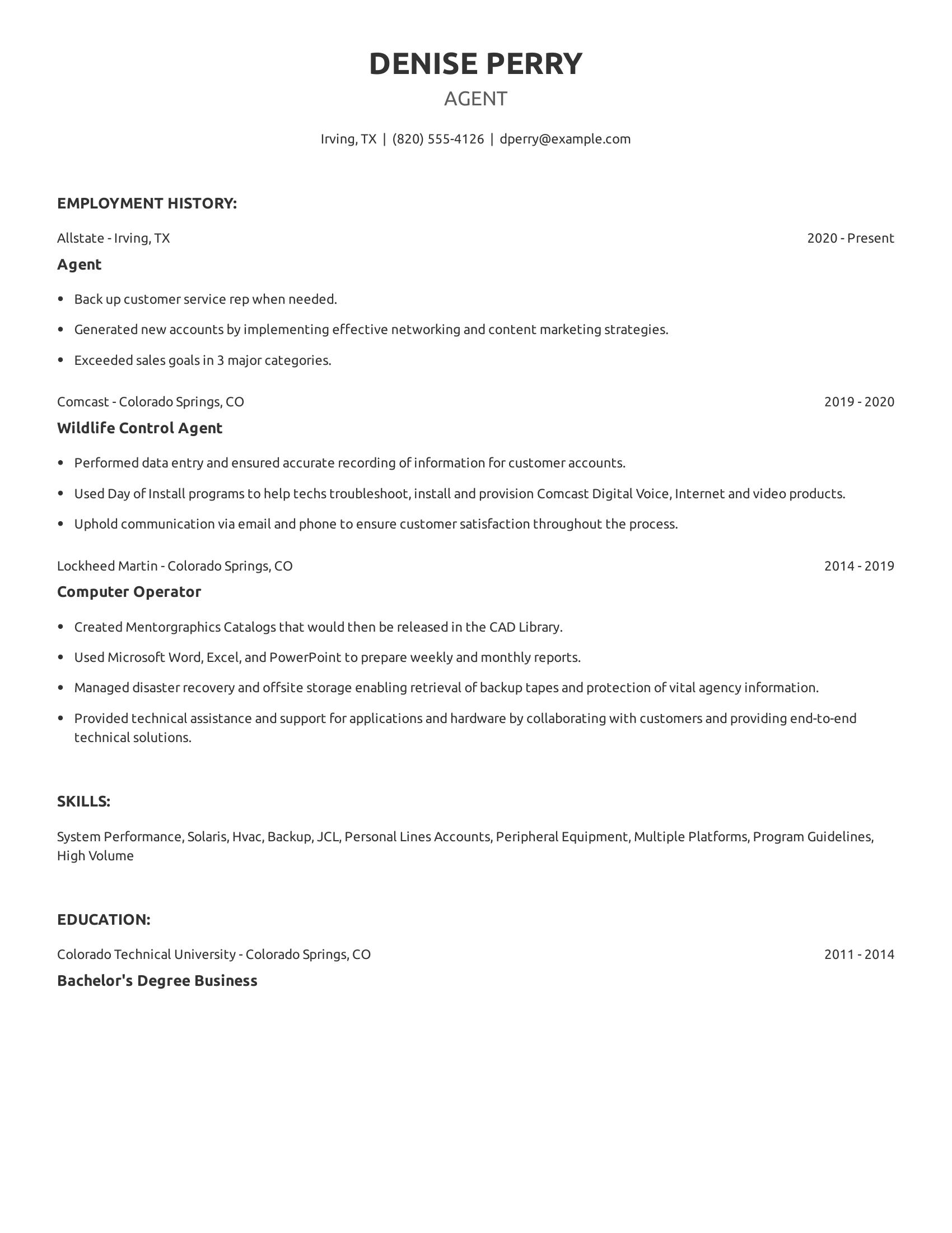 Agent resume example