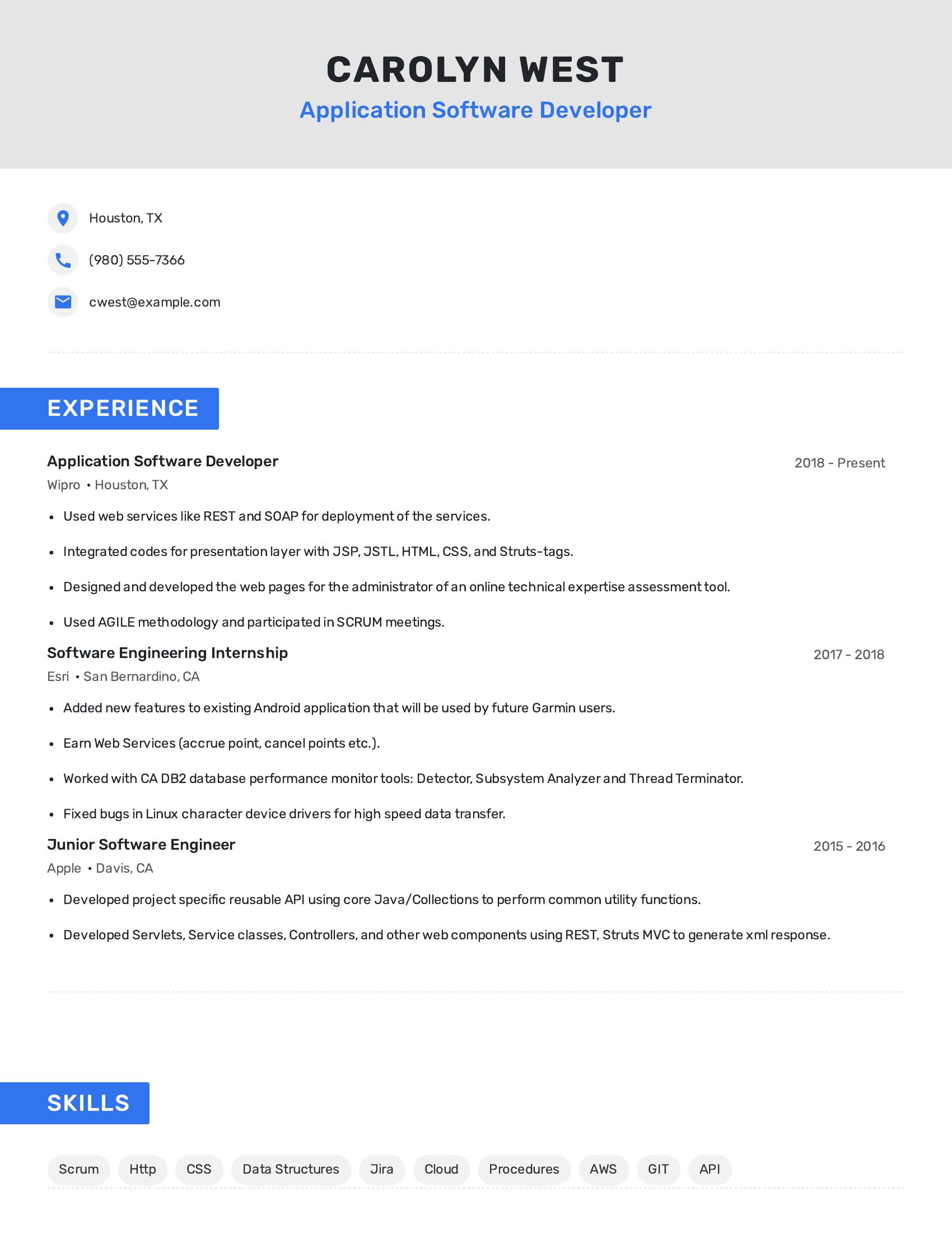 Application Software Developer resume example