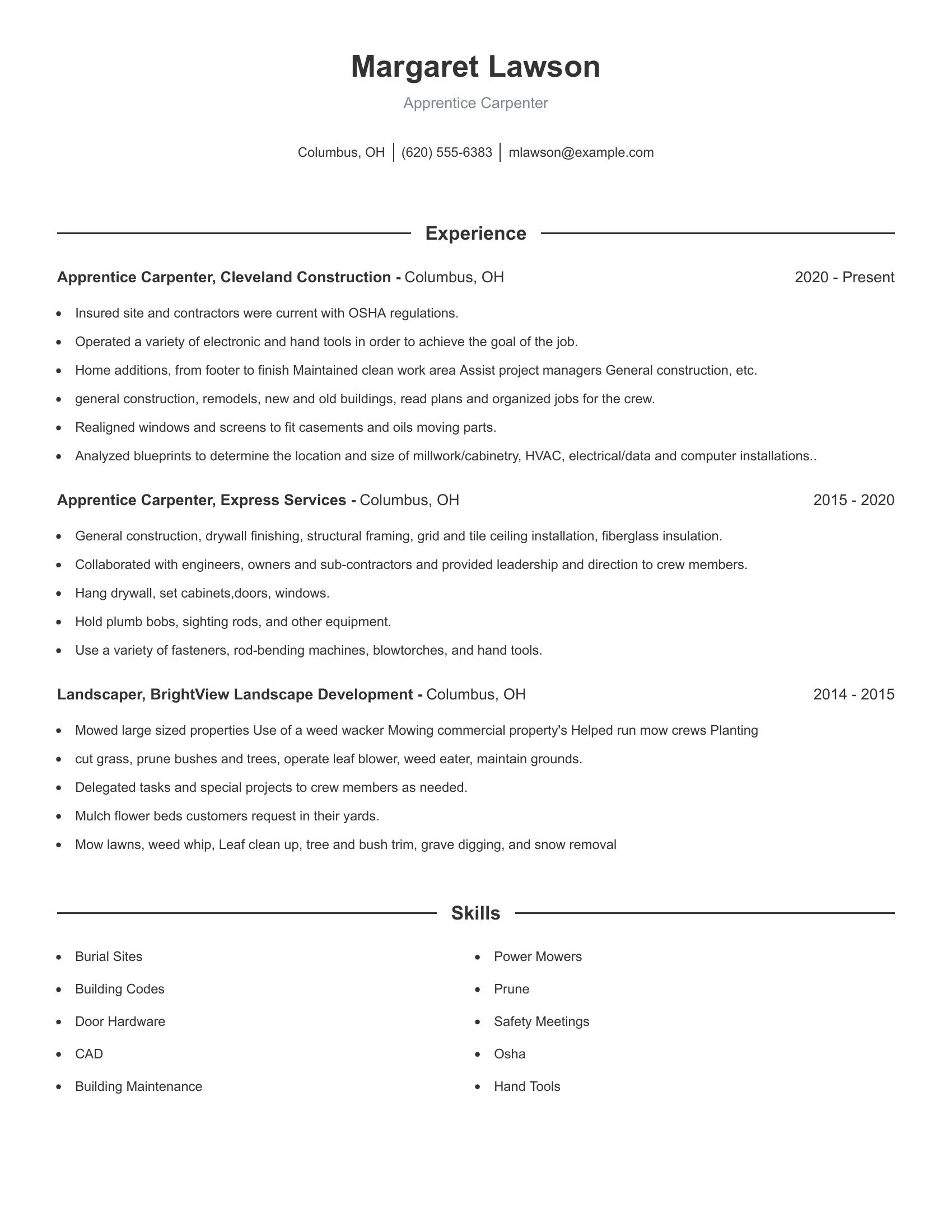 Apprentice Carpenter resume example