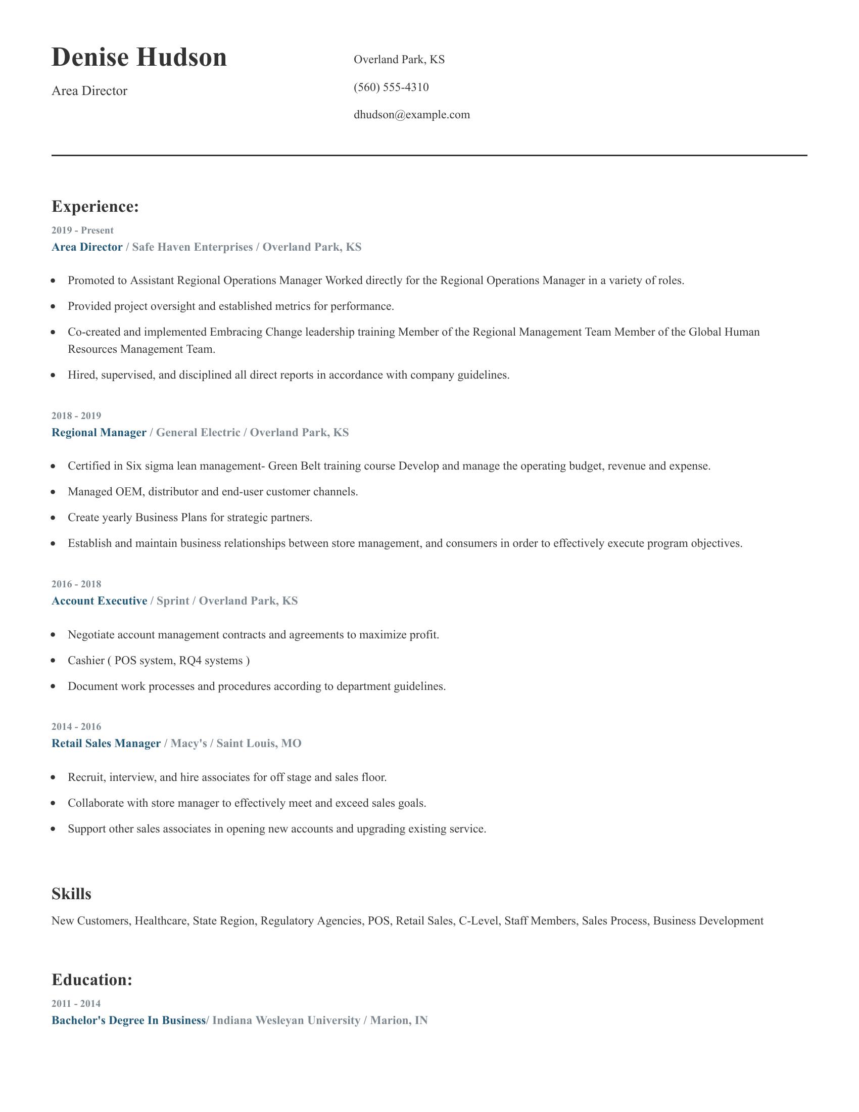 Area Director resume example