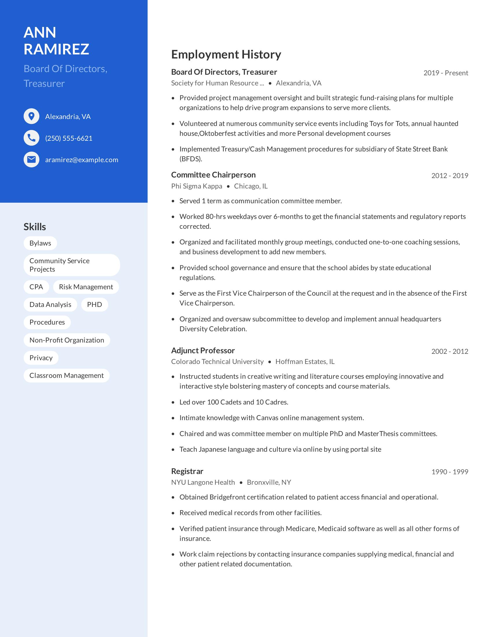 Board Of Directors, Treasurer resume example