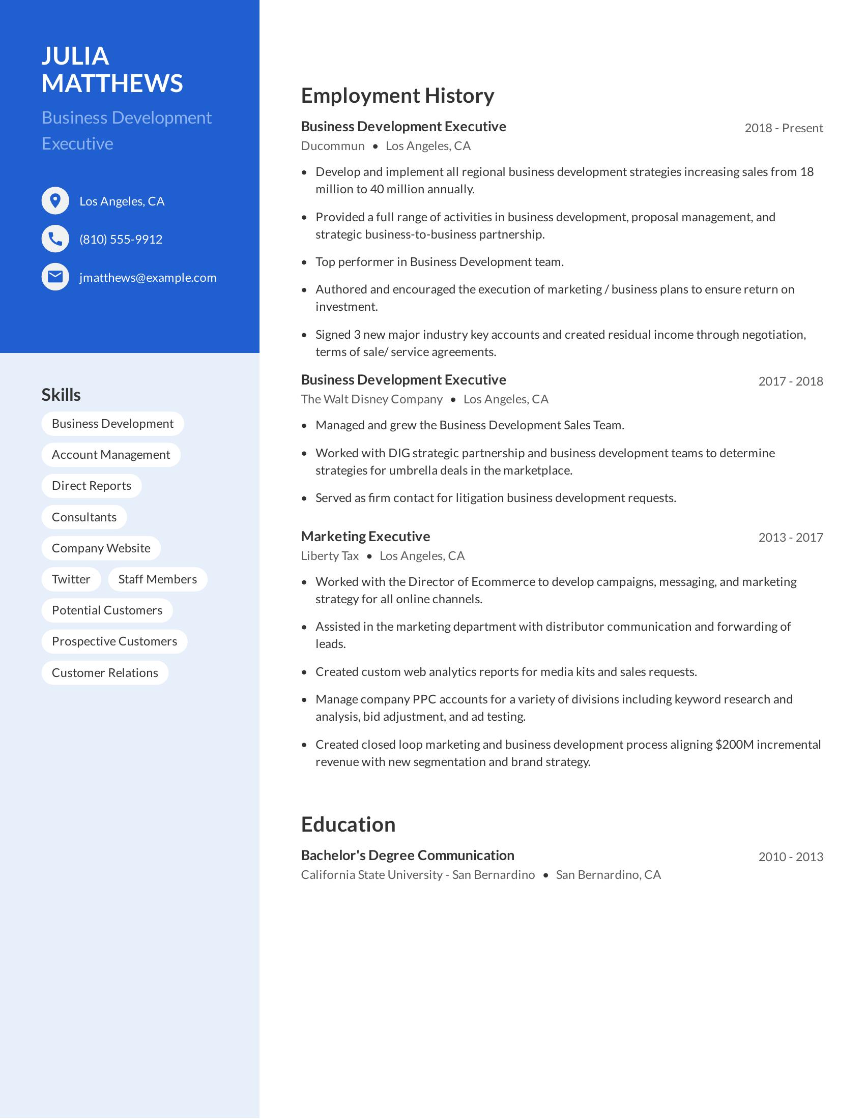 Business Development Executive resume example