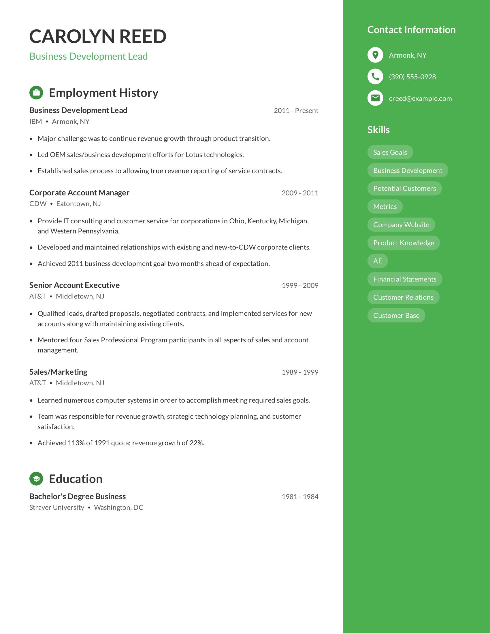 Business Development Lead resume example