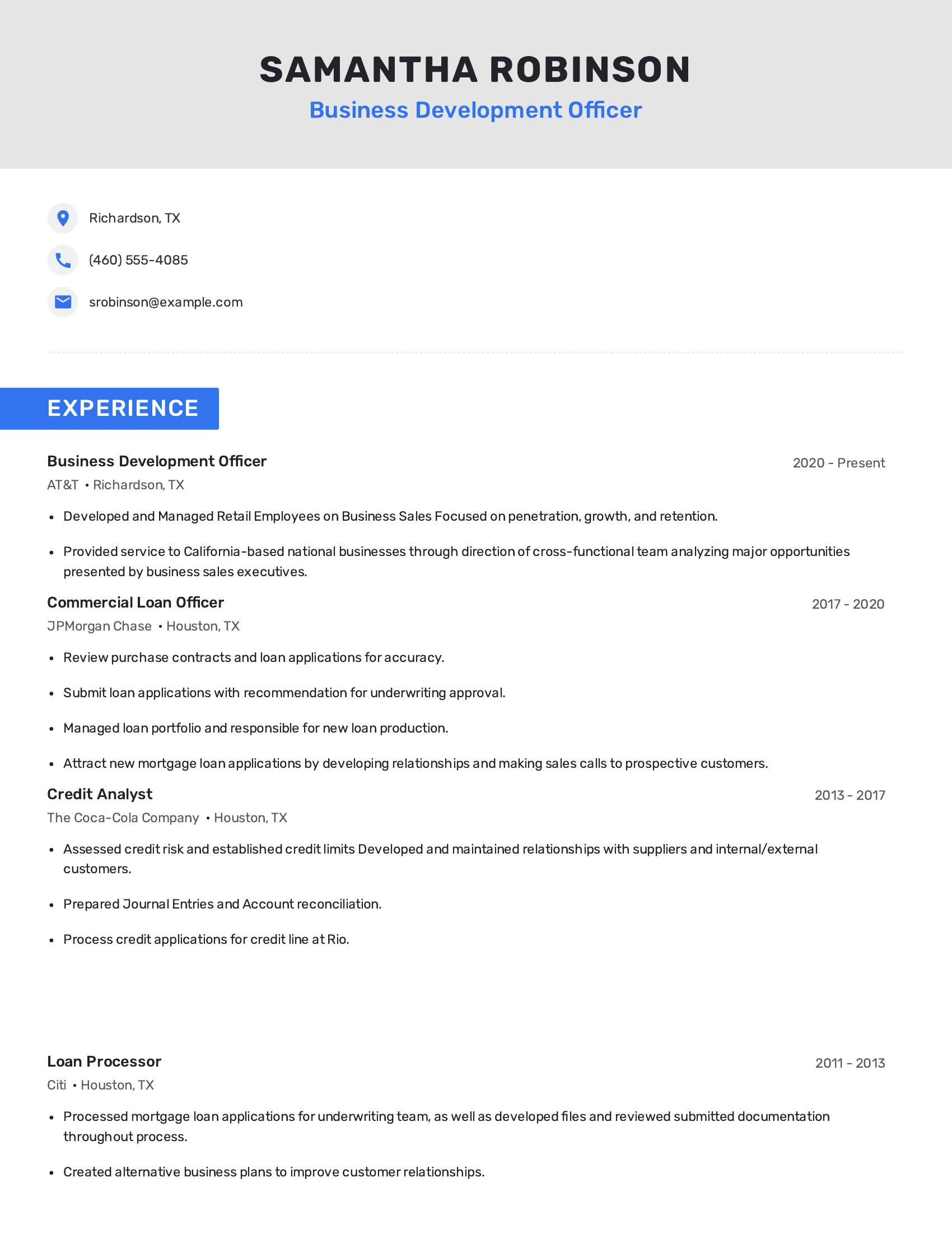 Business Development Officer resume example