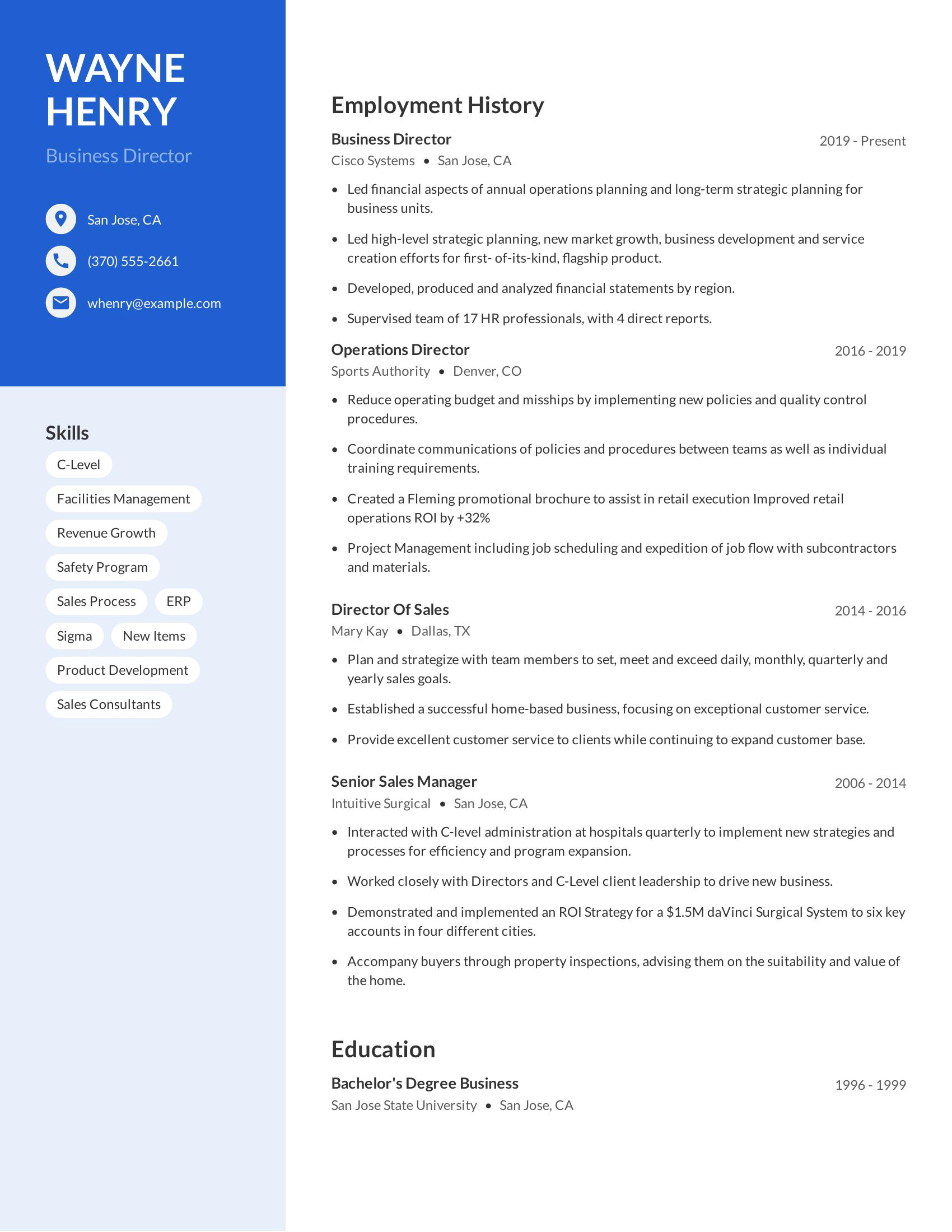 Business Director resume example