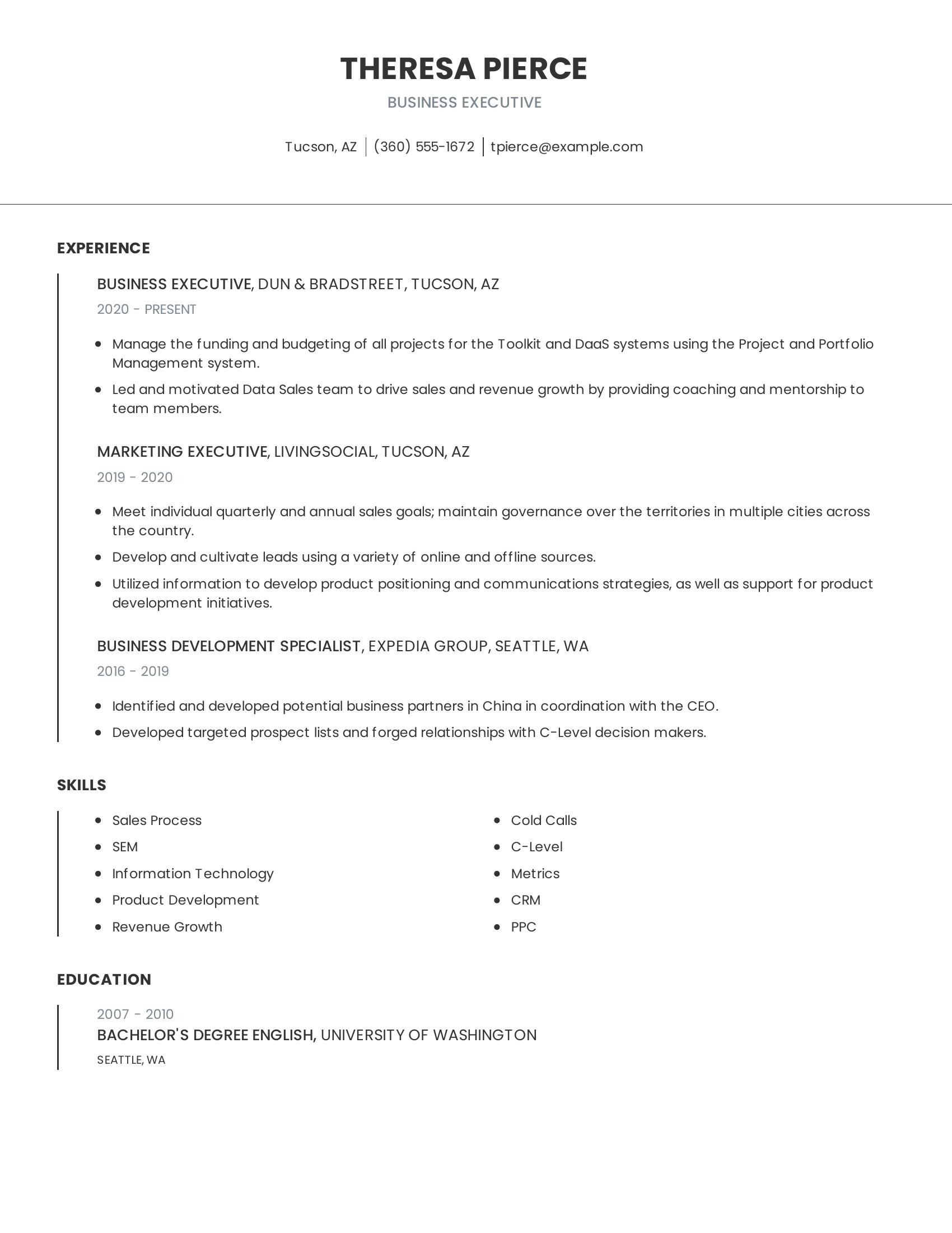 Business Executive resume example