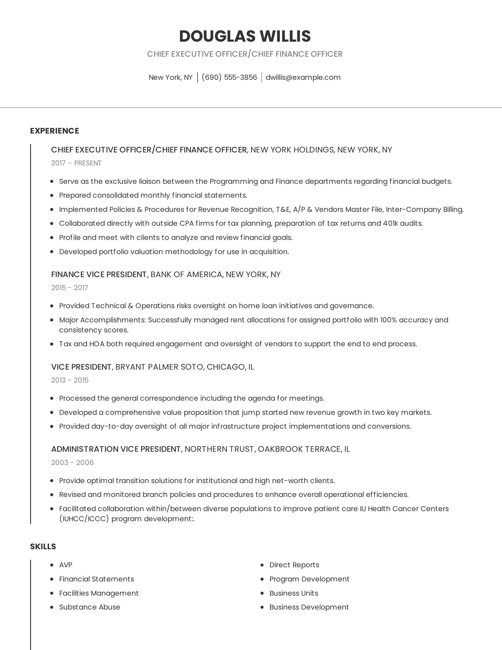 Chief Executive Officer/Chief Finance Officer resume example