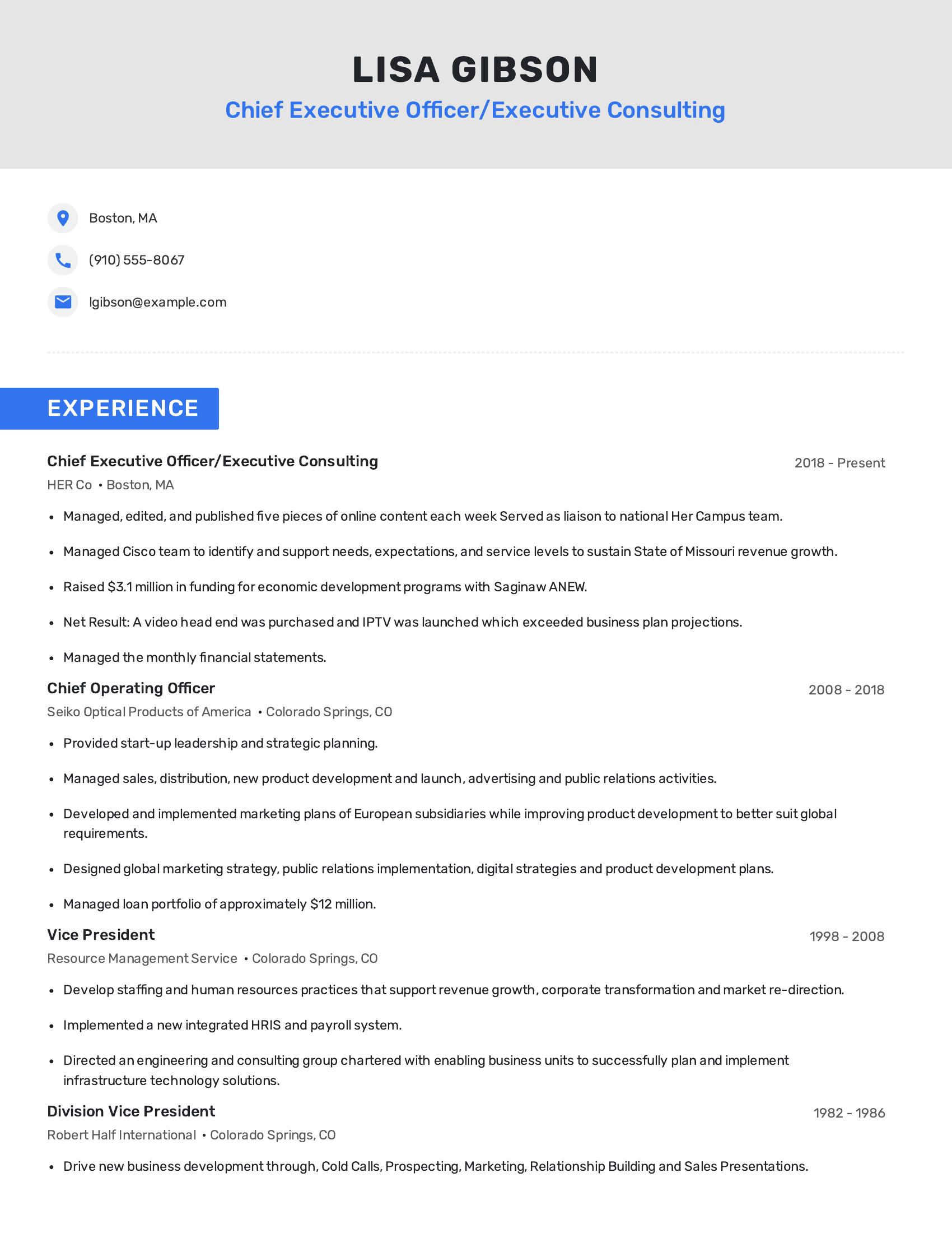 Chief Executive Officer/Executive Consulting resume example