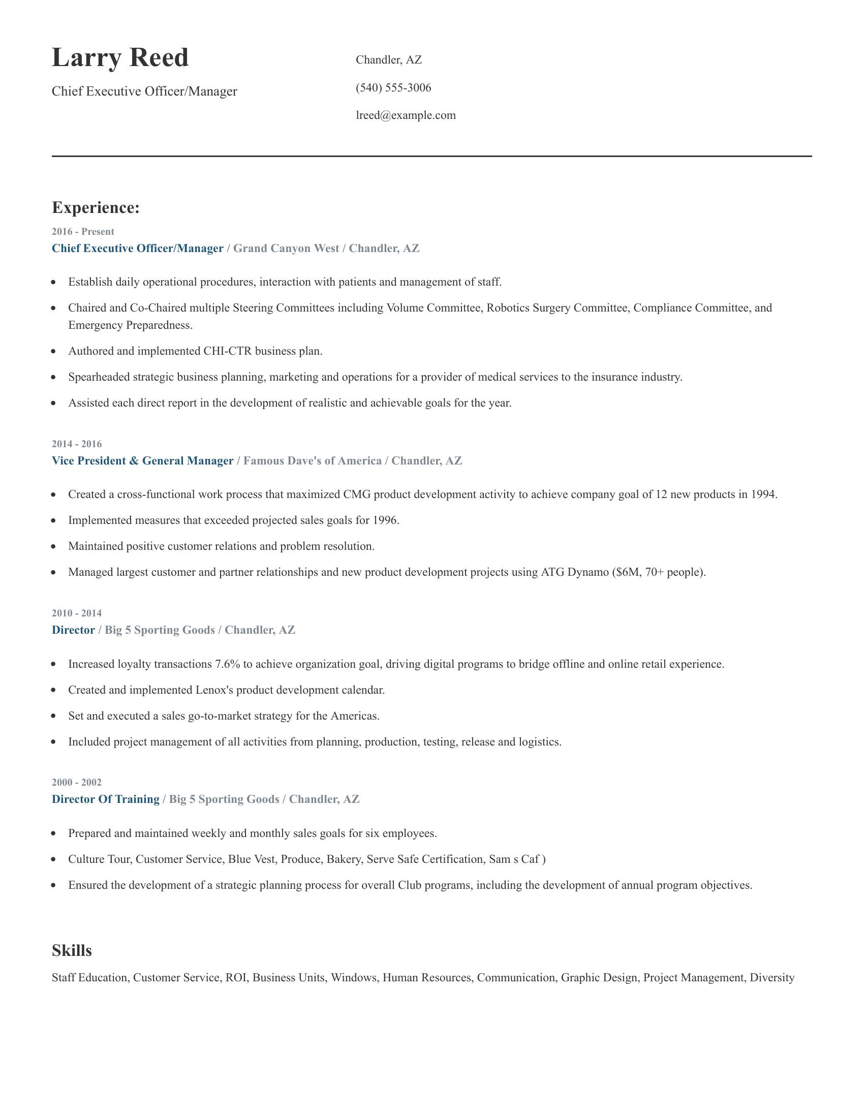 Chief Executive Officer/Manager resume example