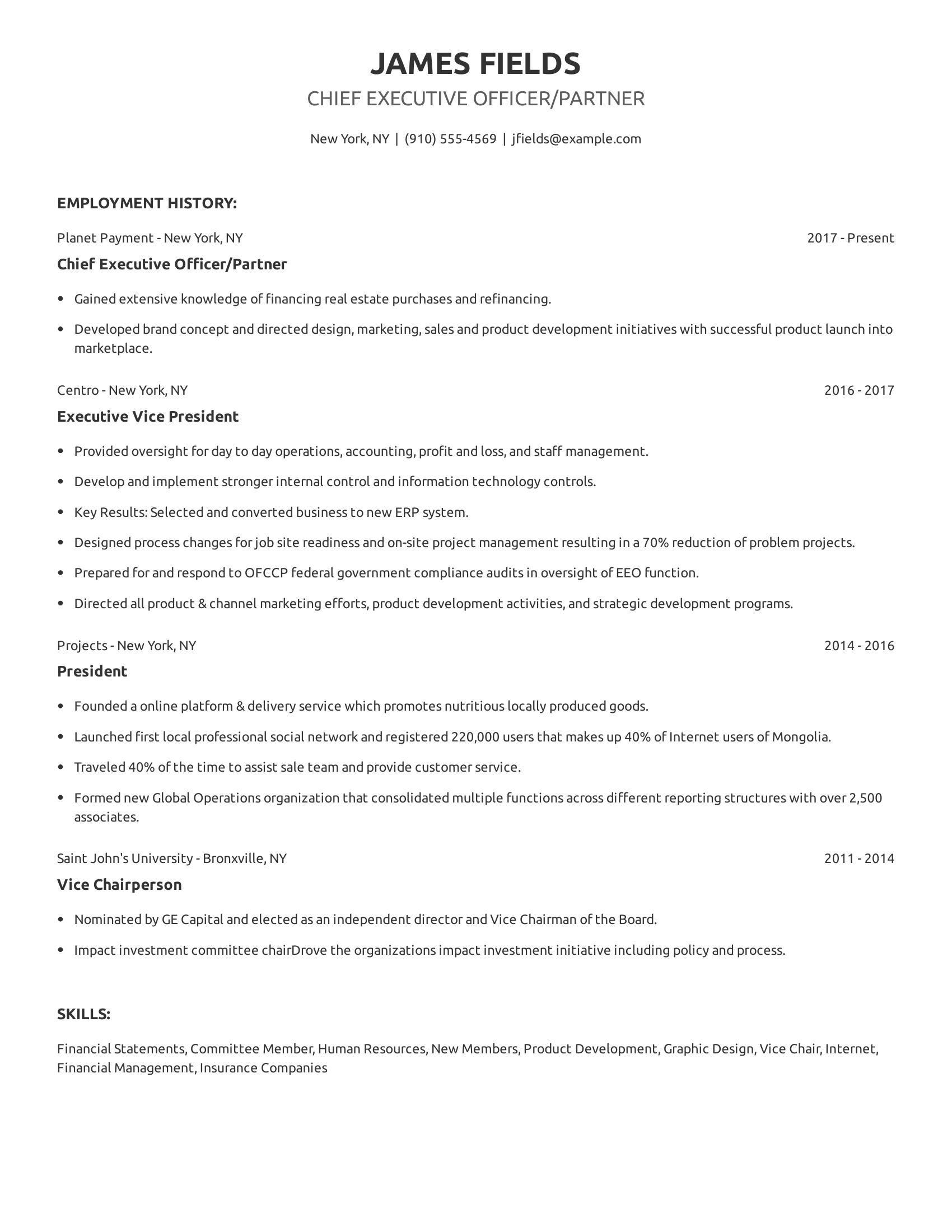 Chief Executive Officer/Partner resume example