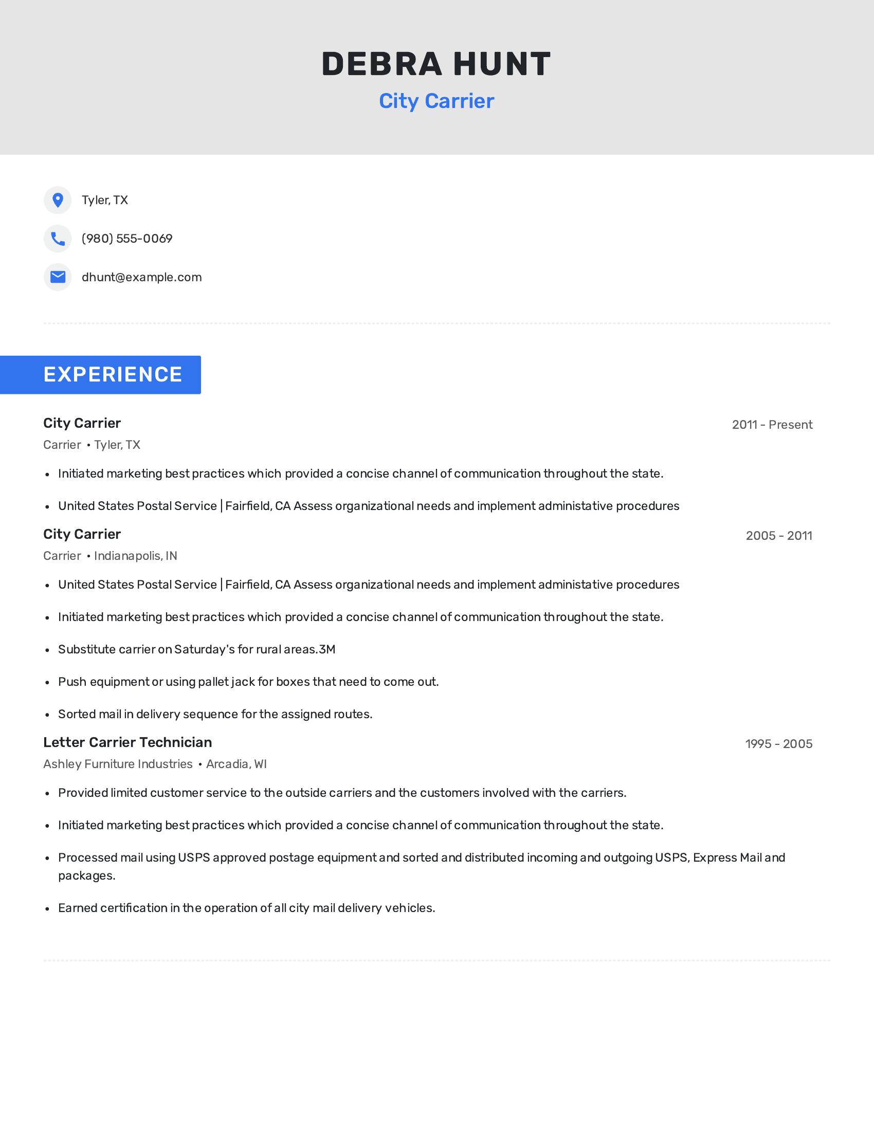 City Carrier resume example