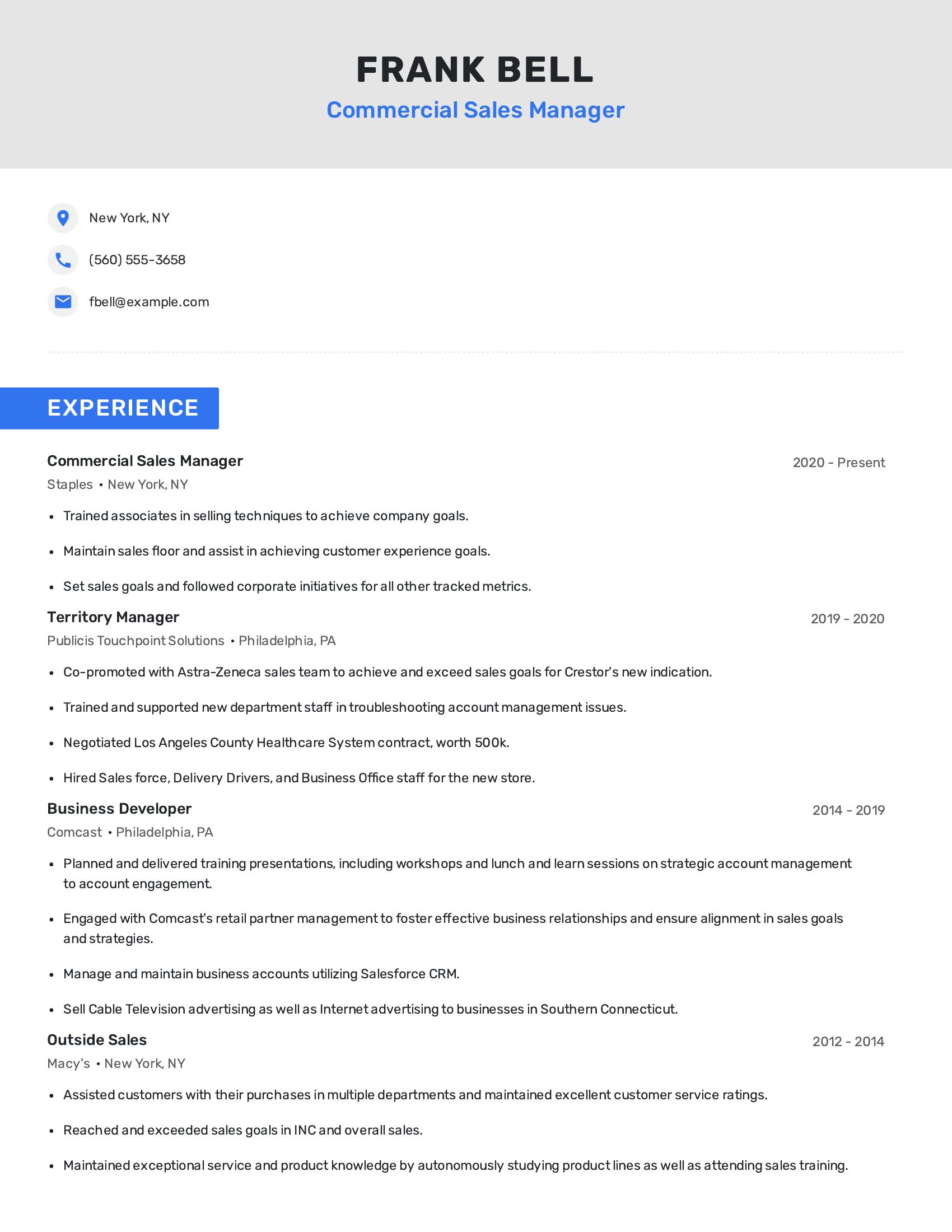 Commercial Sales Manager resume example
