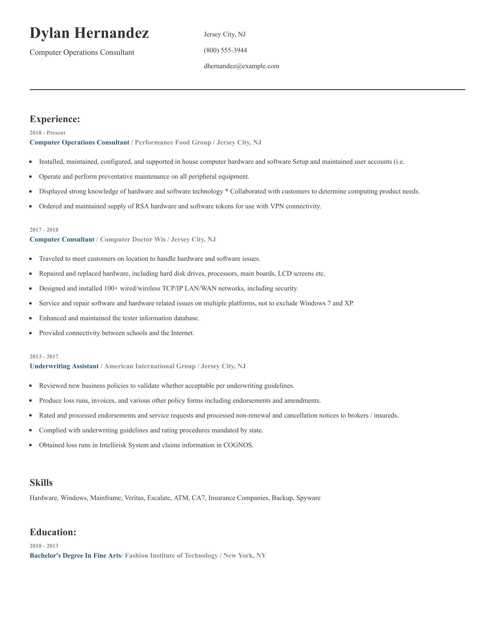 Computer Operations Consultant resume example