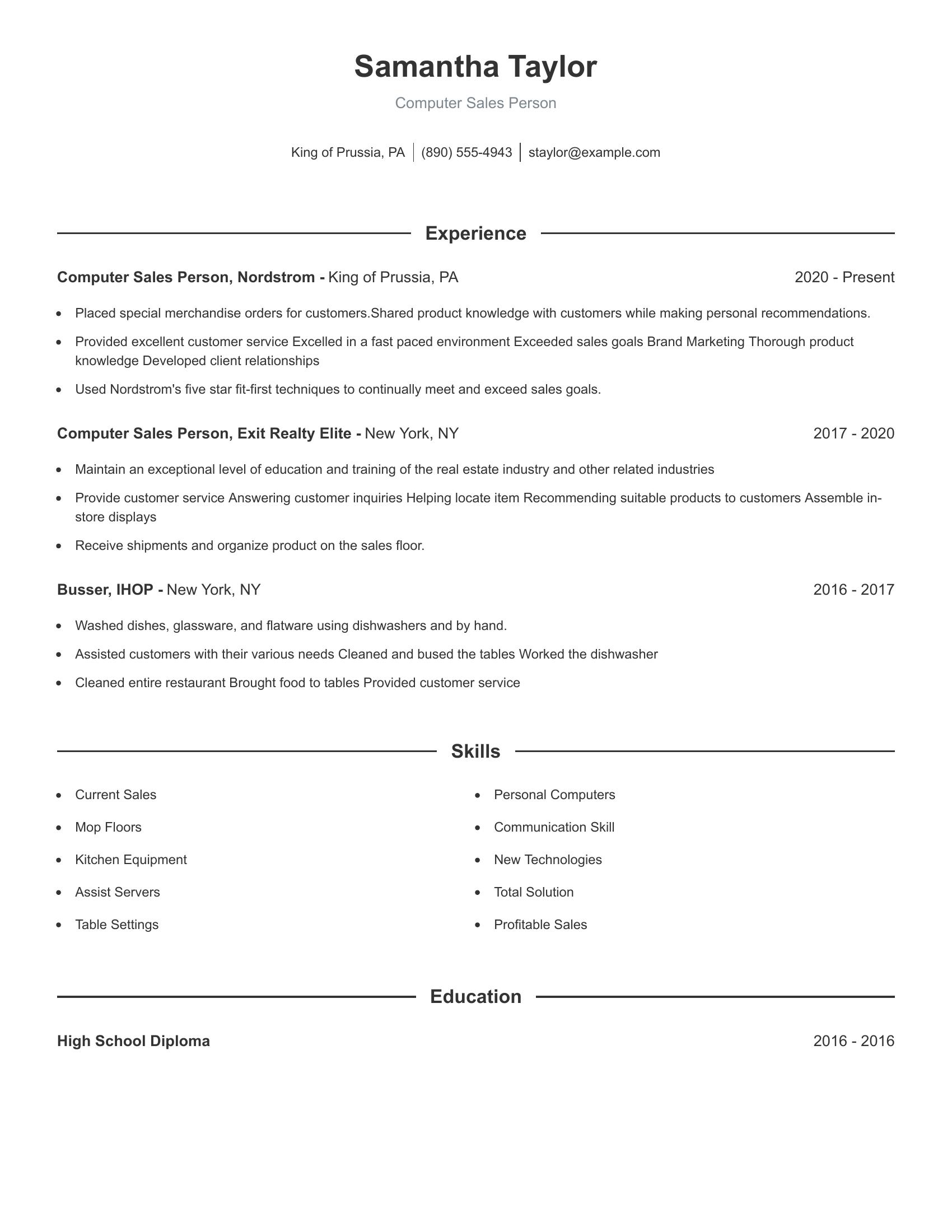 Computer Sales Person resume example