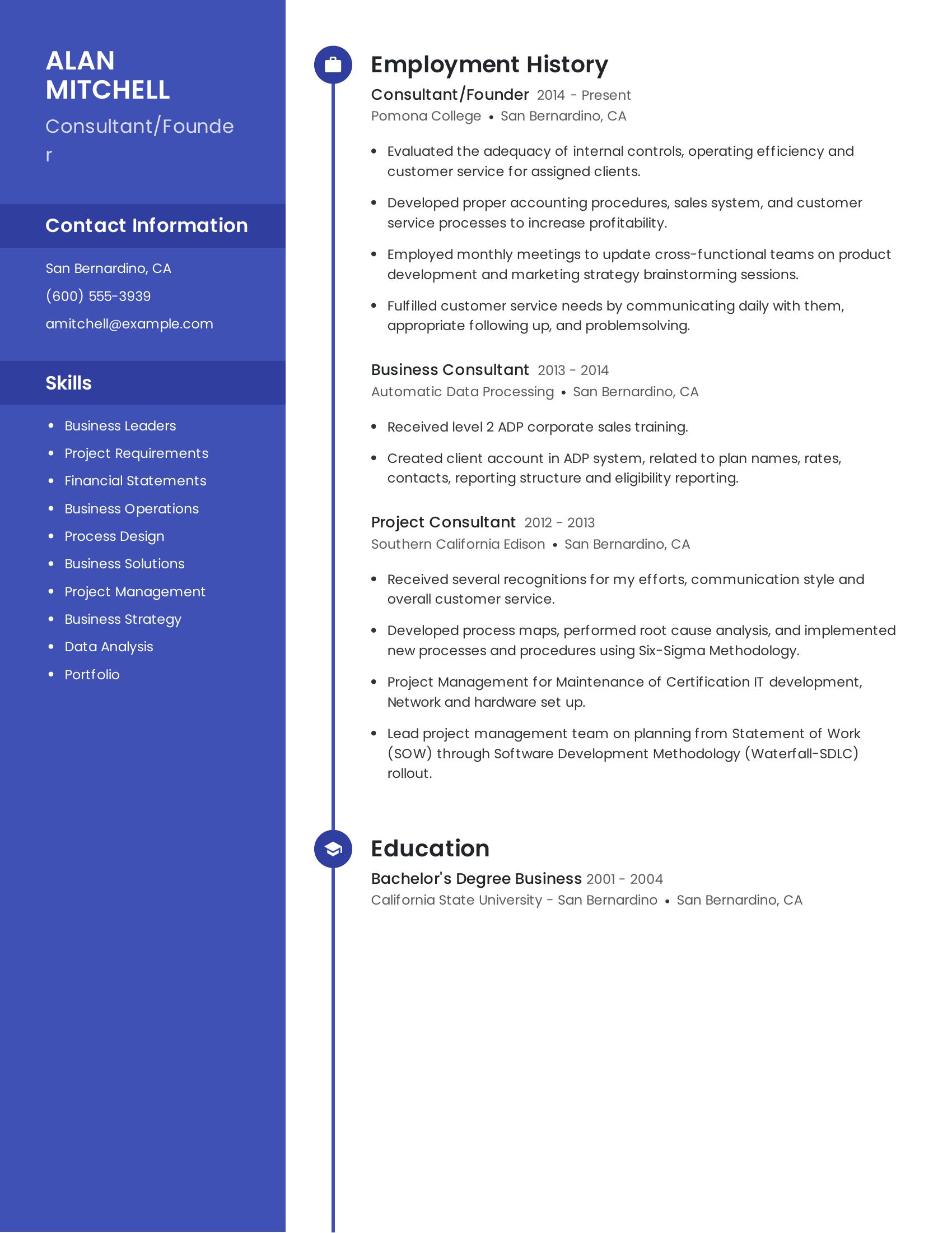 Consultant/Founder resume example