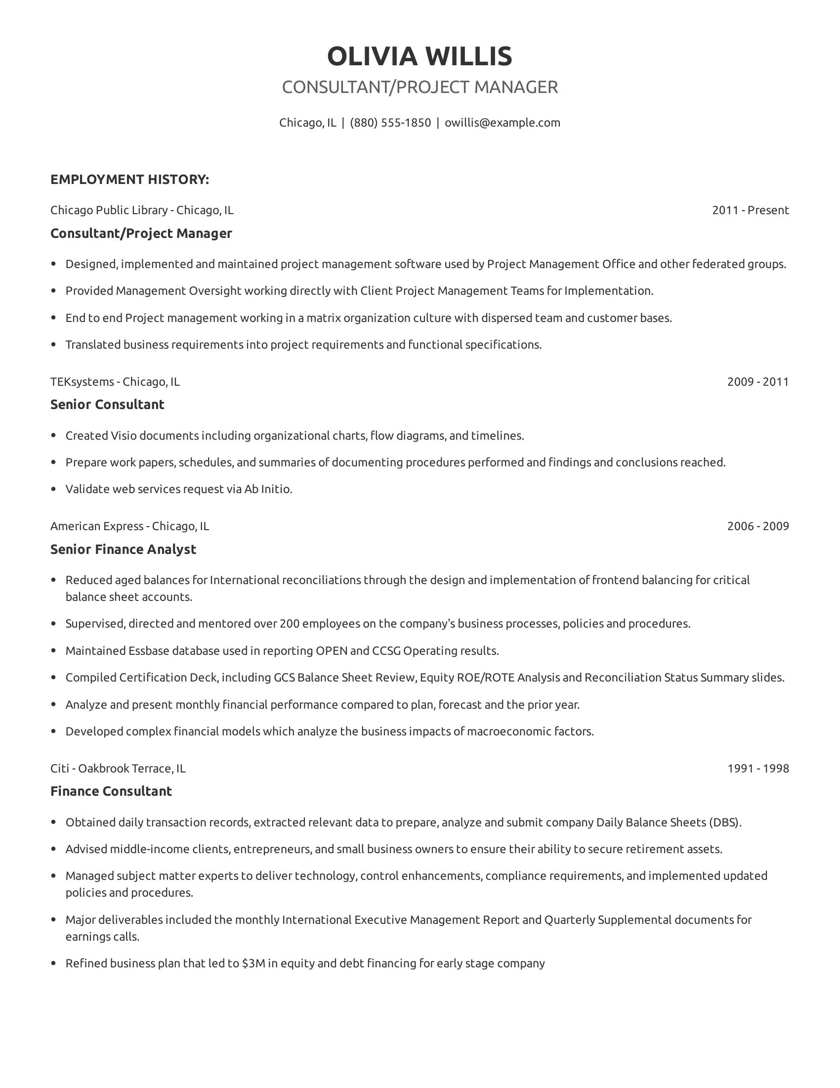 Consultant/Project Manager resume example