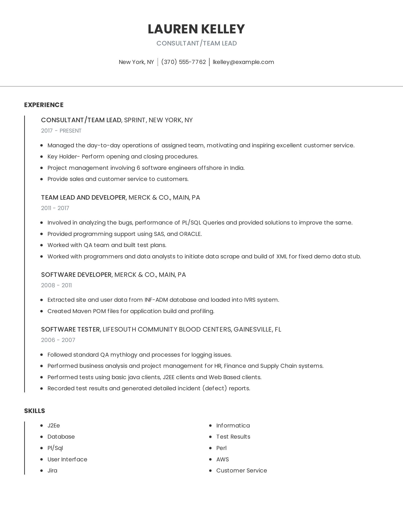 Consultant/Team Lead resume example