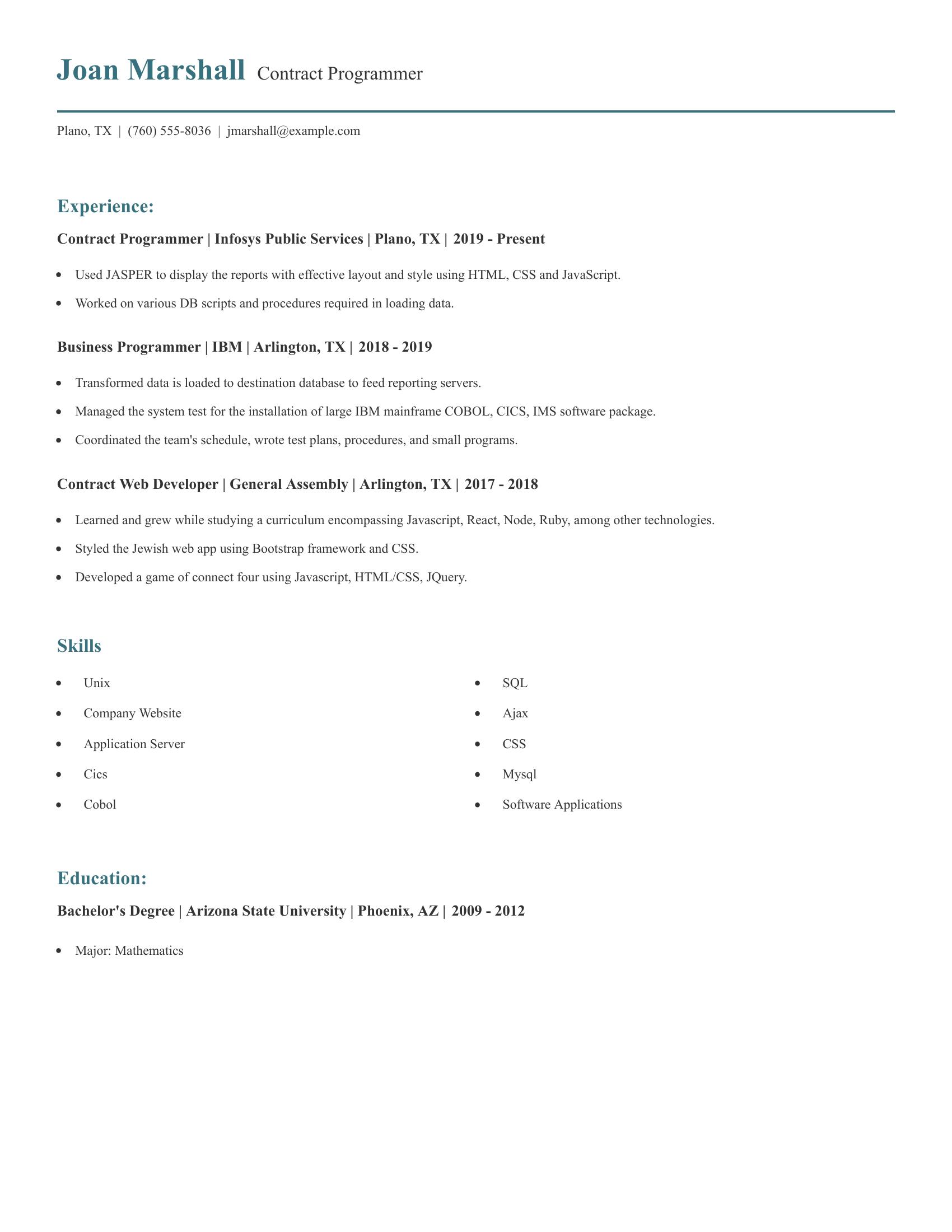 Contract Programmer resume example