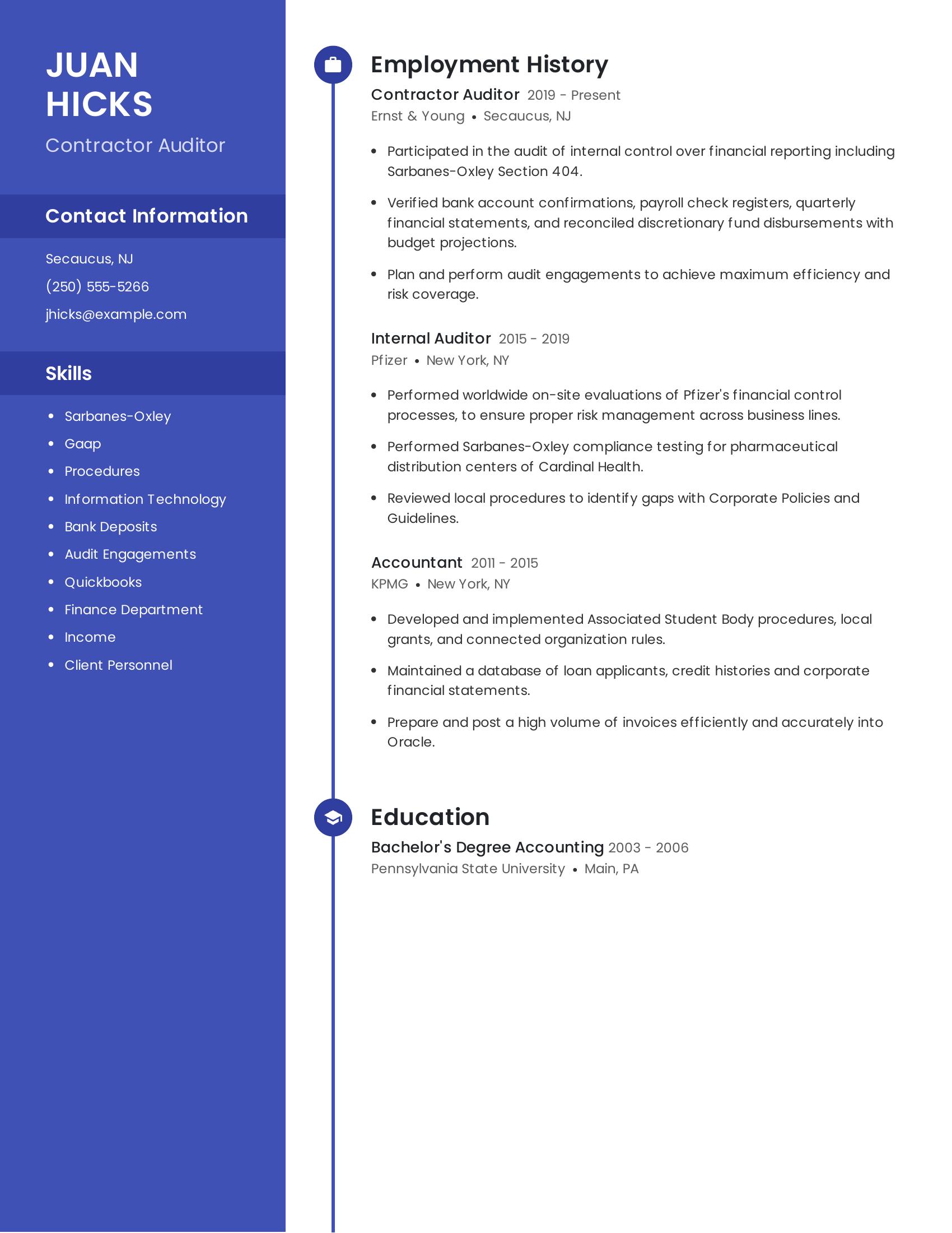 Contractor Auditor resume example
