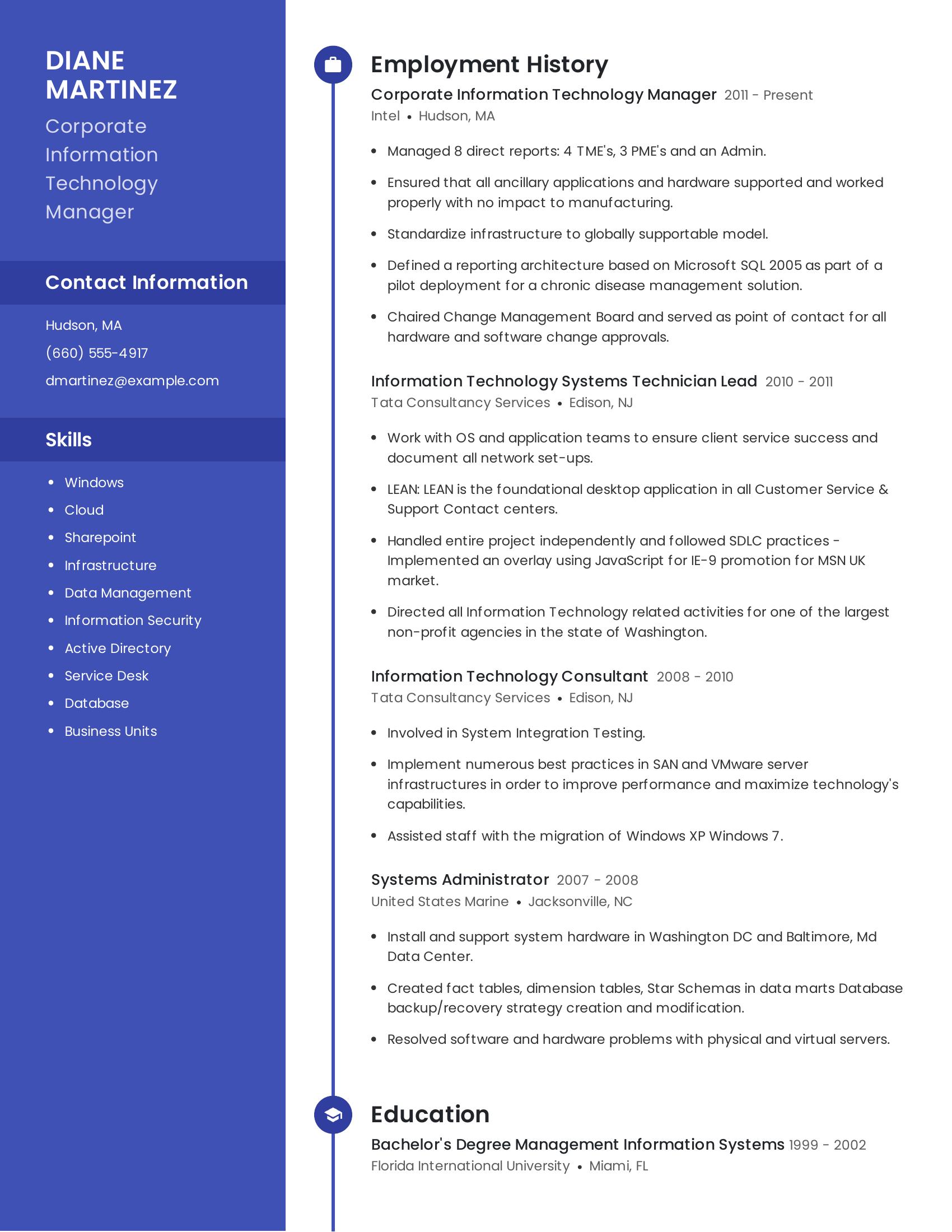 Corporate Information Technology Manager resume example