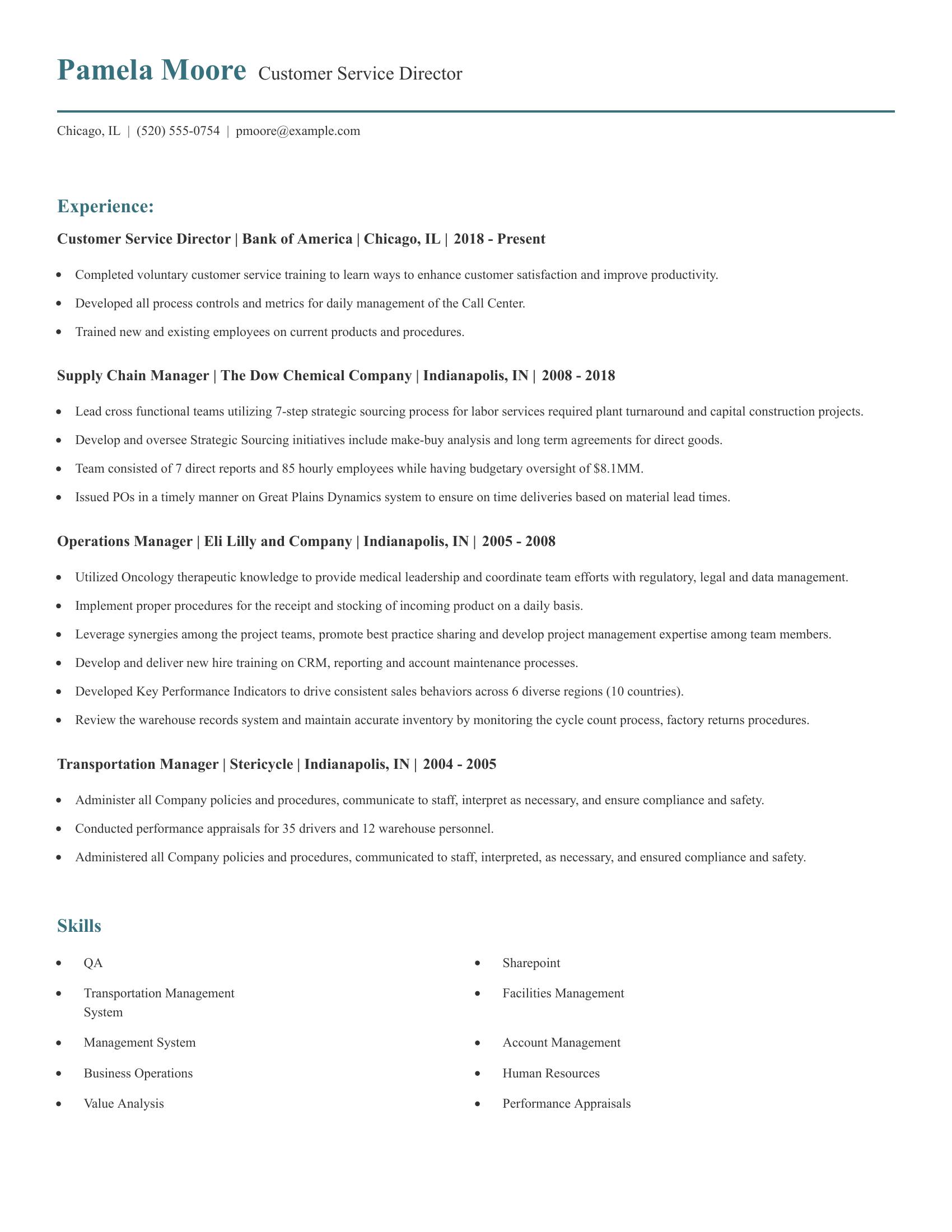 Customer Service Director resume example