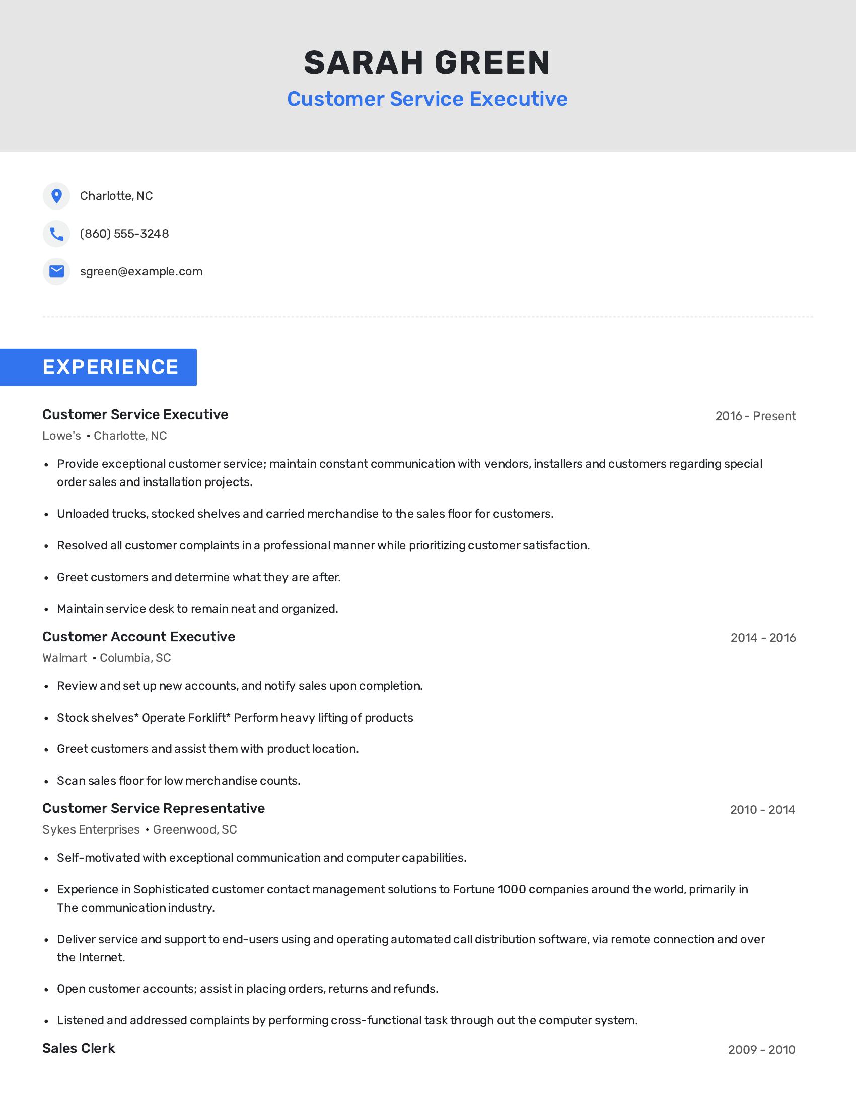 Customer Service Executive resume example
