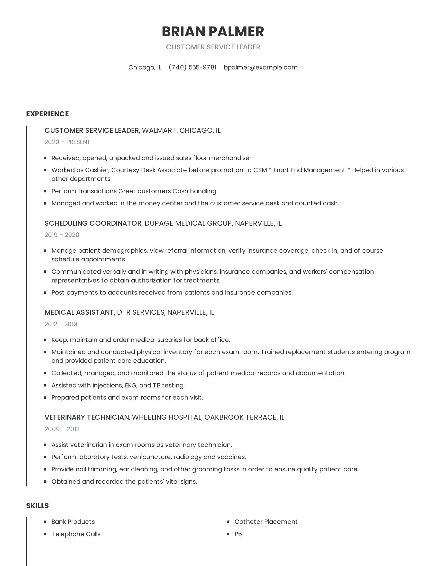 Customer Service Leader resume example