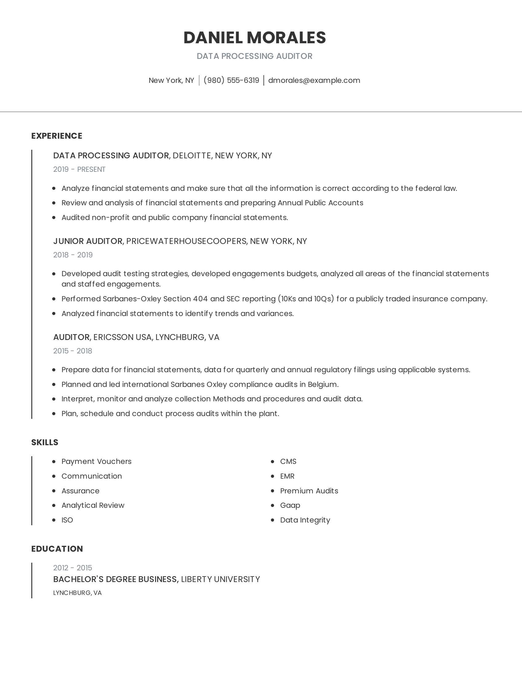 Data Processing Auditor resume example