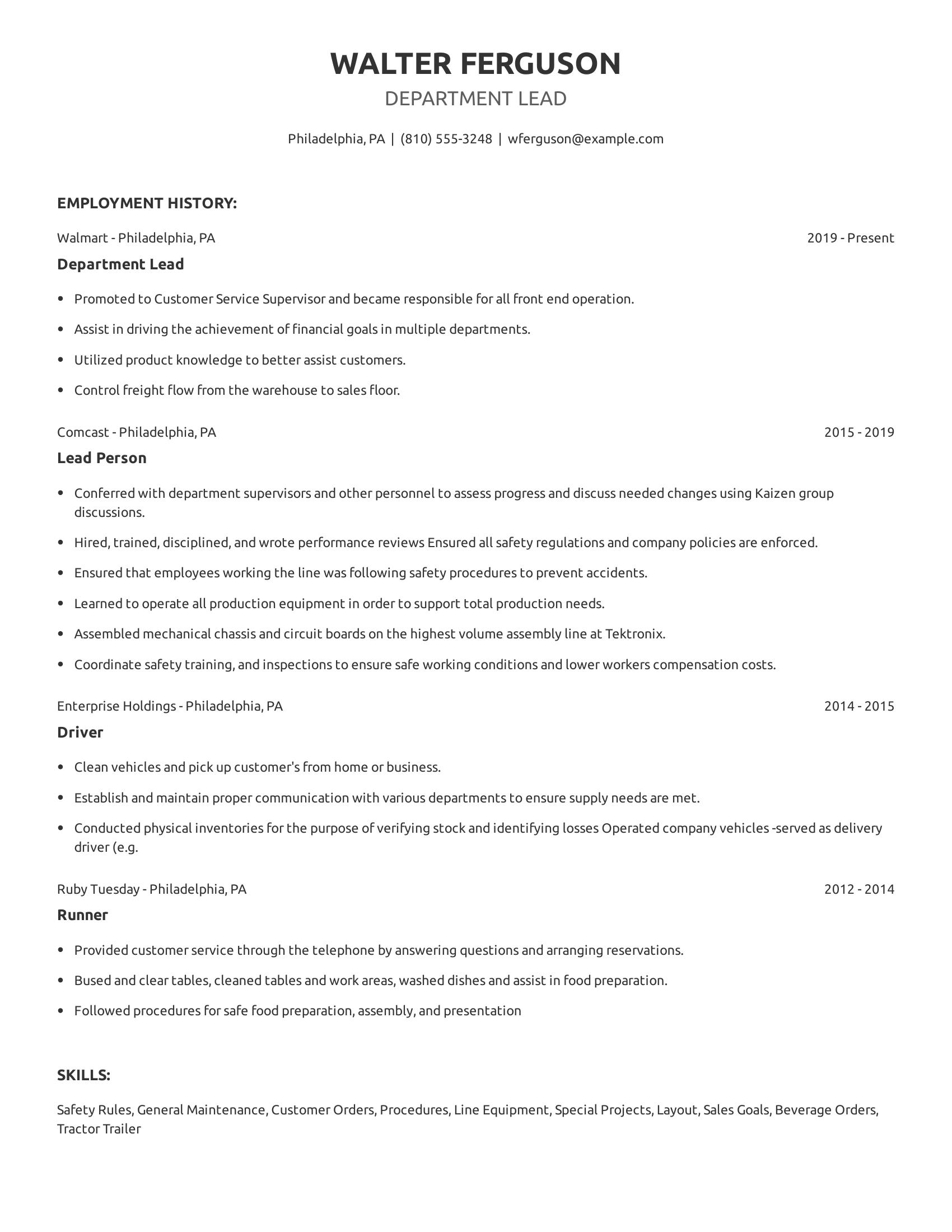 Department Lead resume example