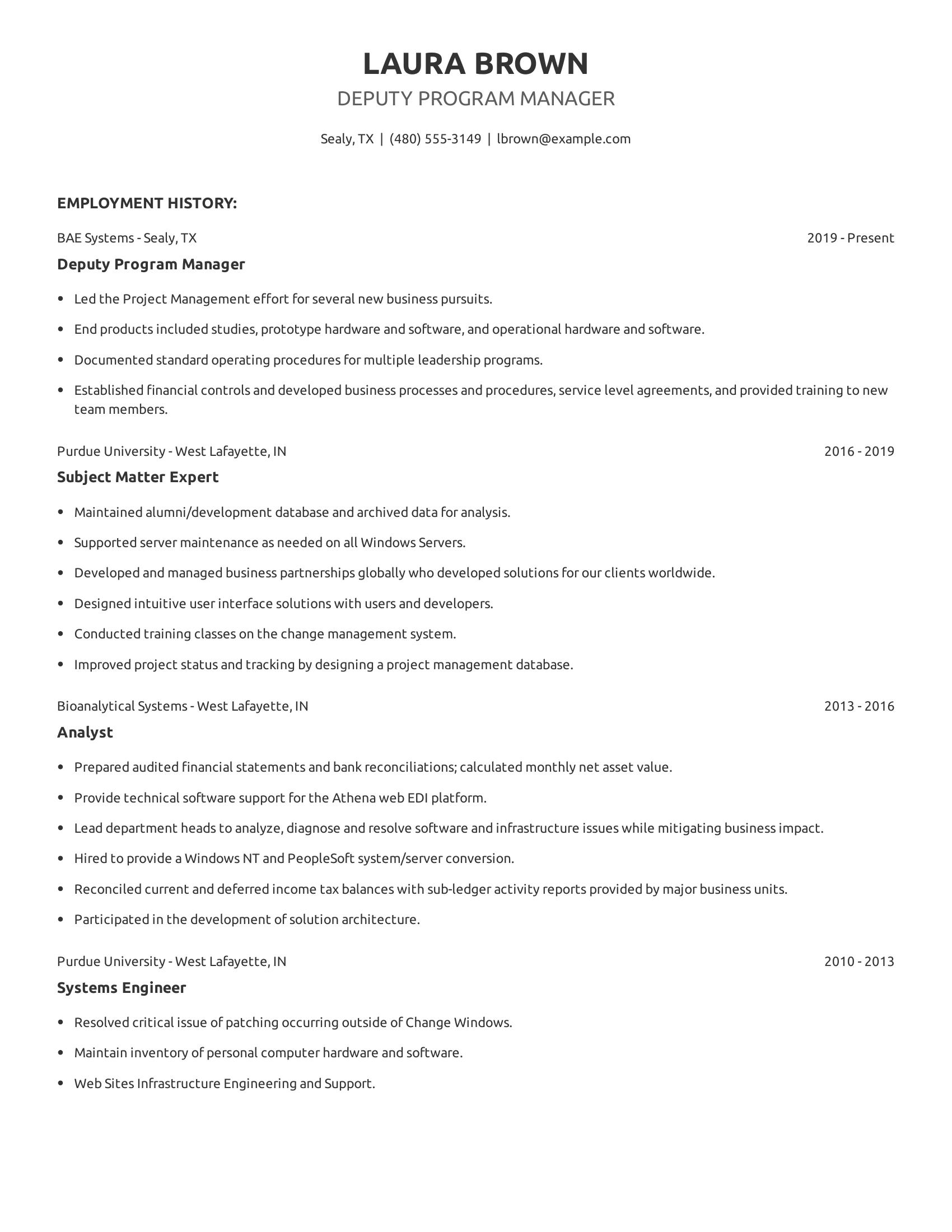 Deputy Program Manager resume example