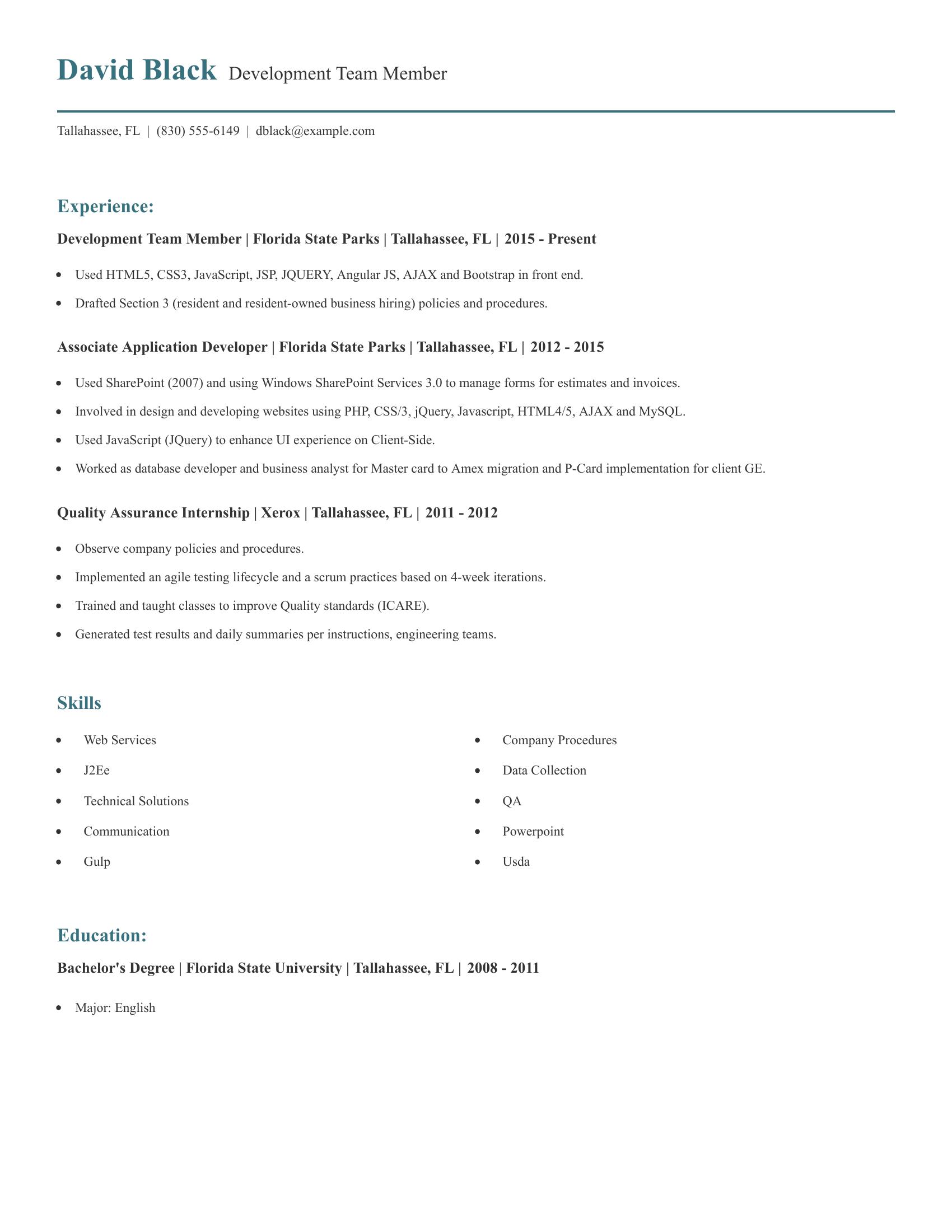 Development Team Member resume example