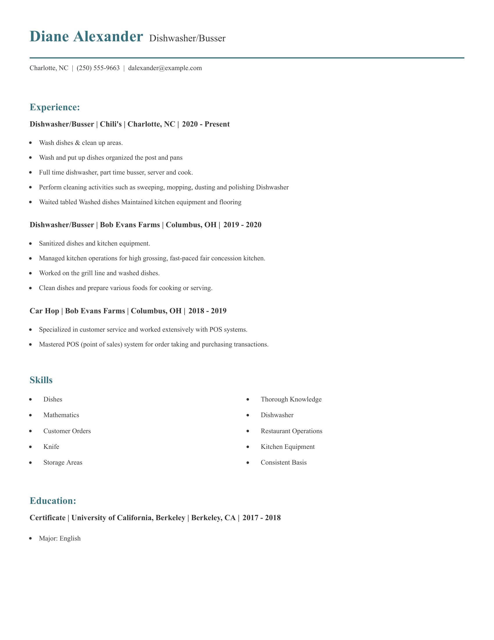 Dishwasher/Busser resume example