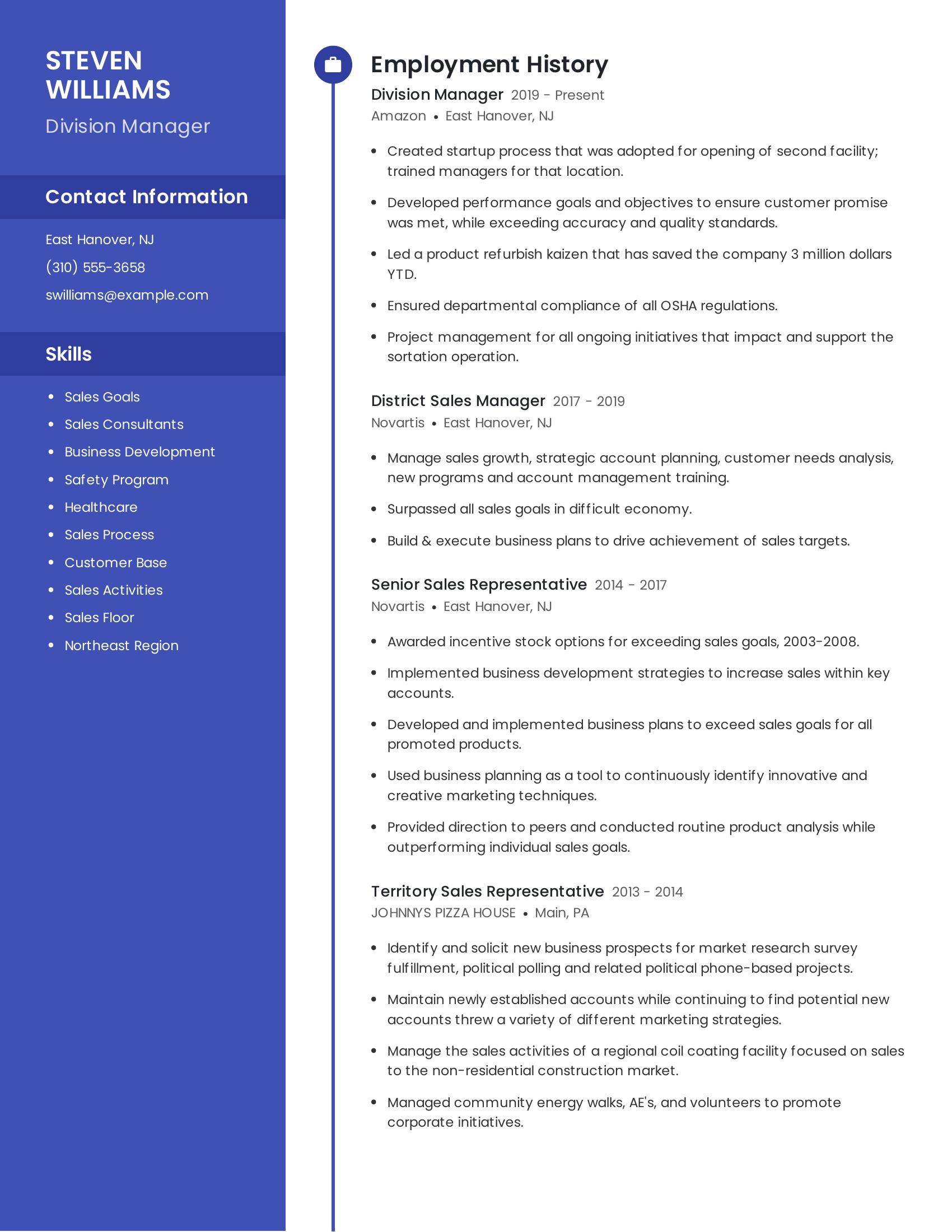 Division Manager resume example