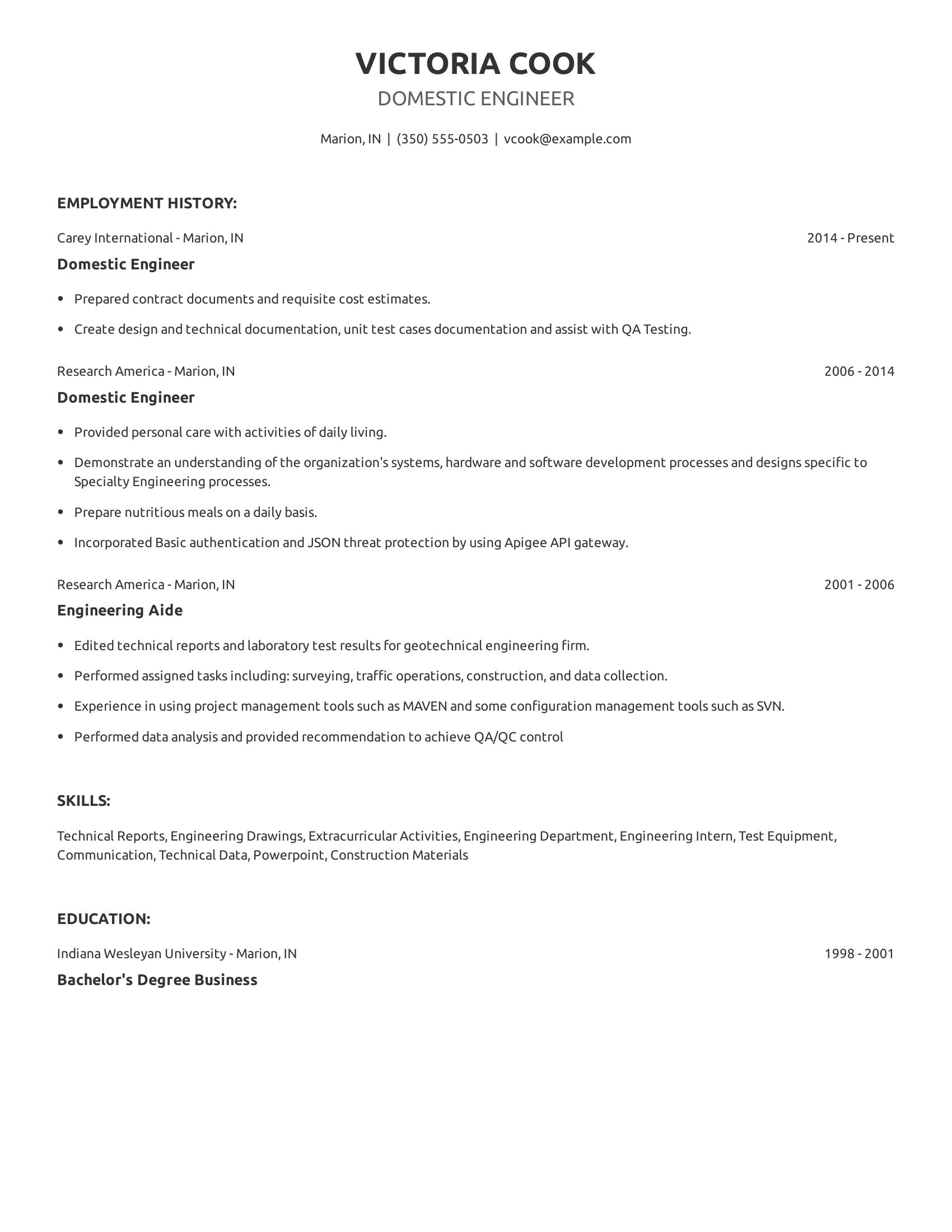 Domestic Engineer resume example