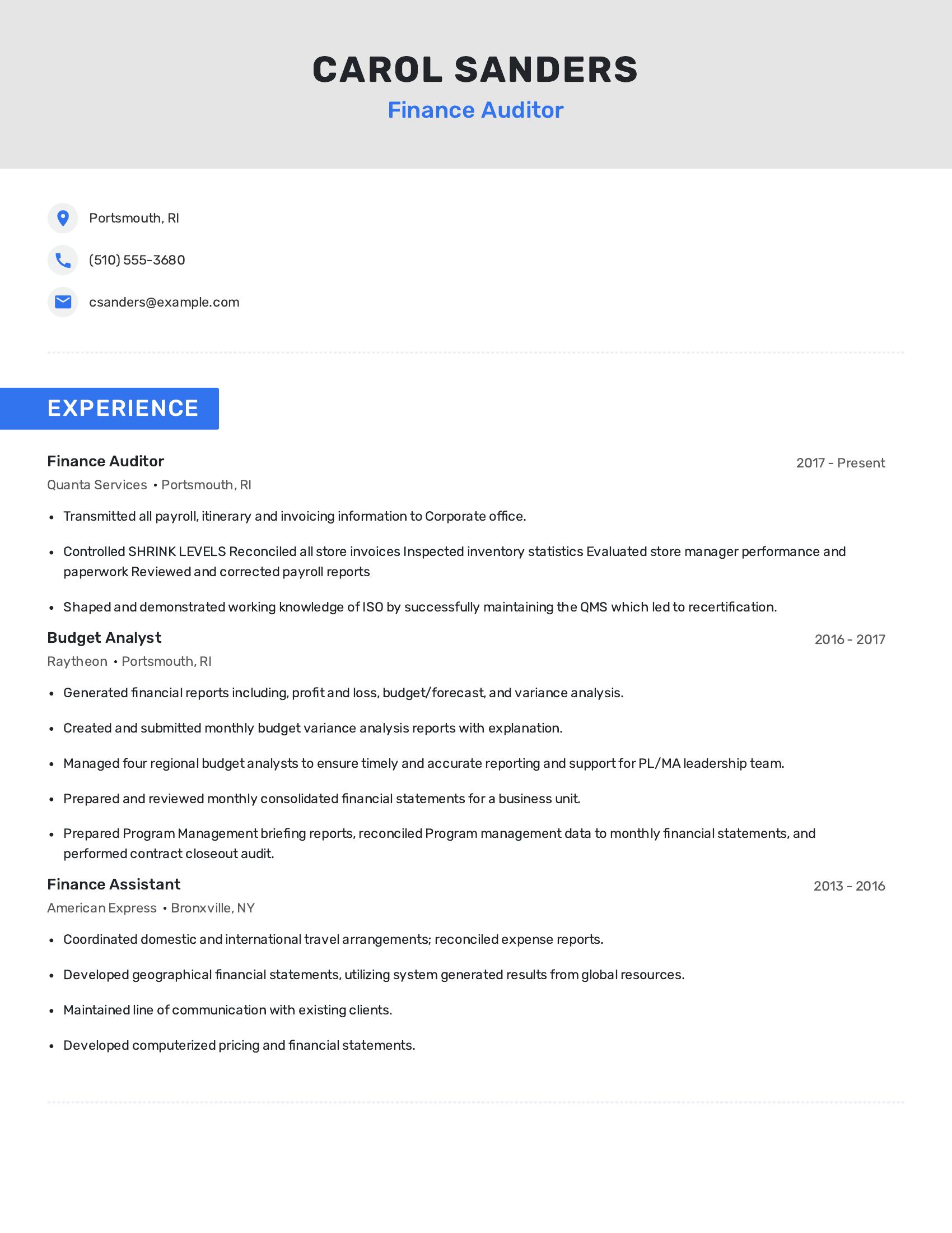 Finance Auditor resume example