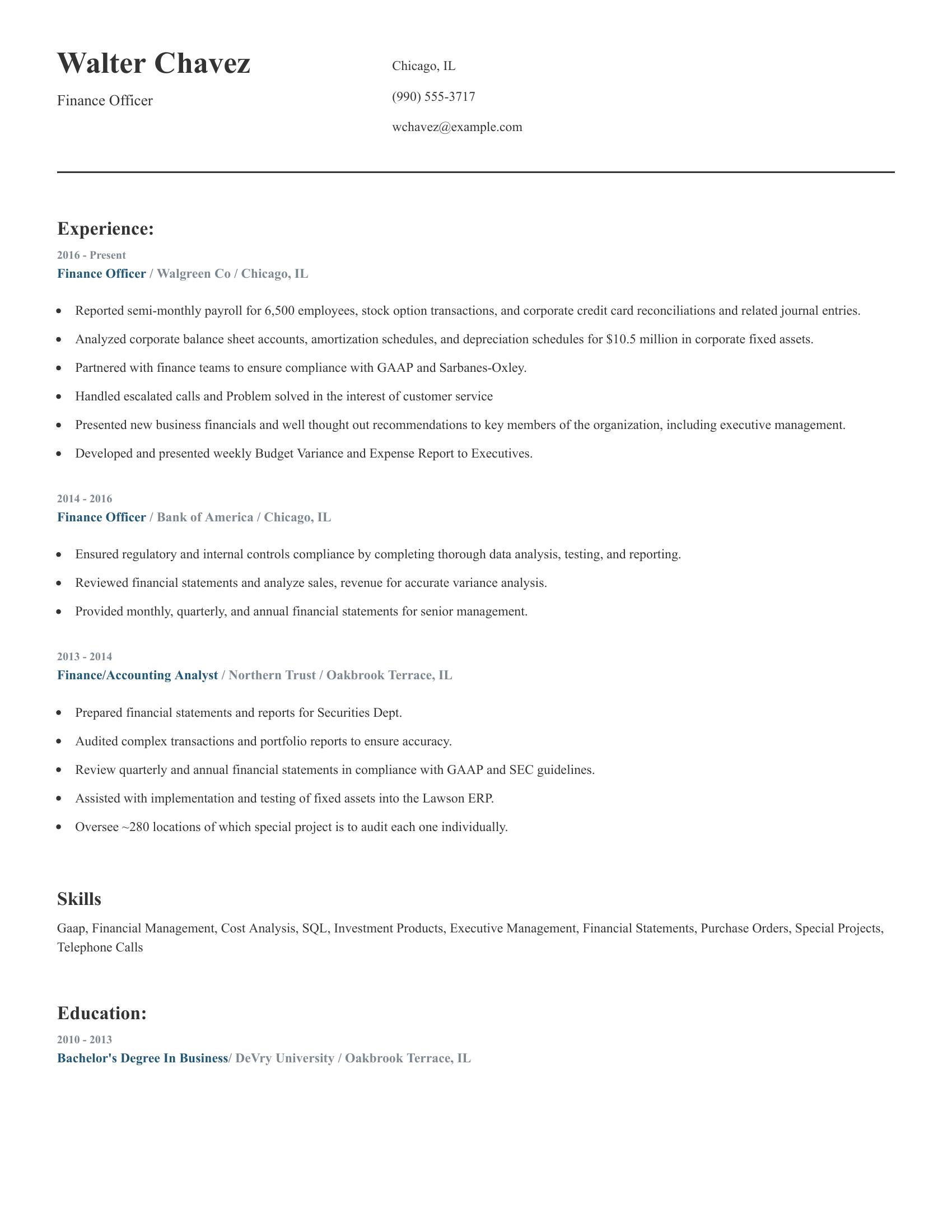 Finance Officer resume example