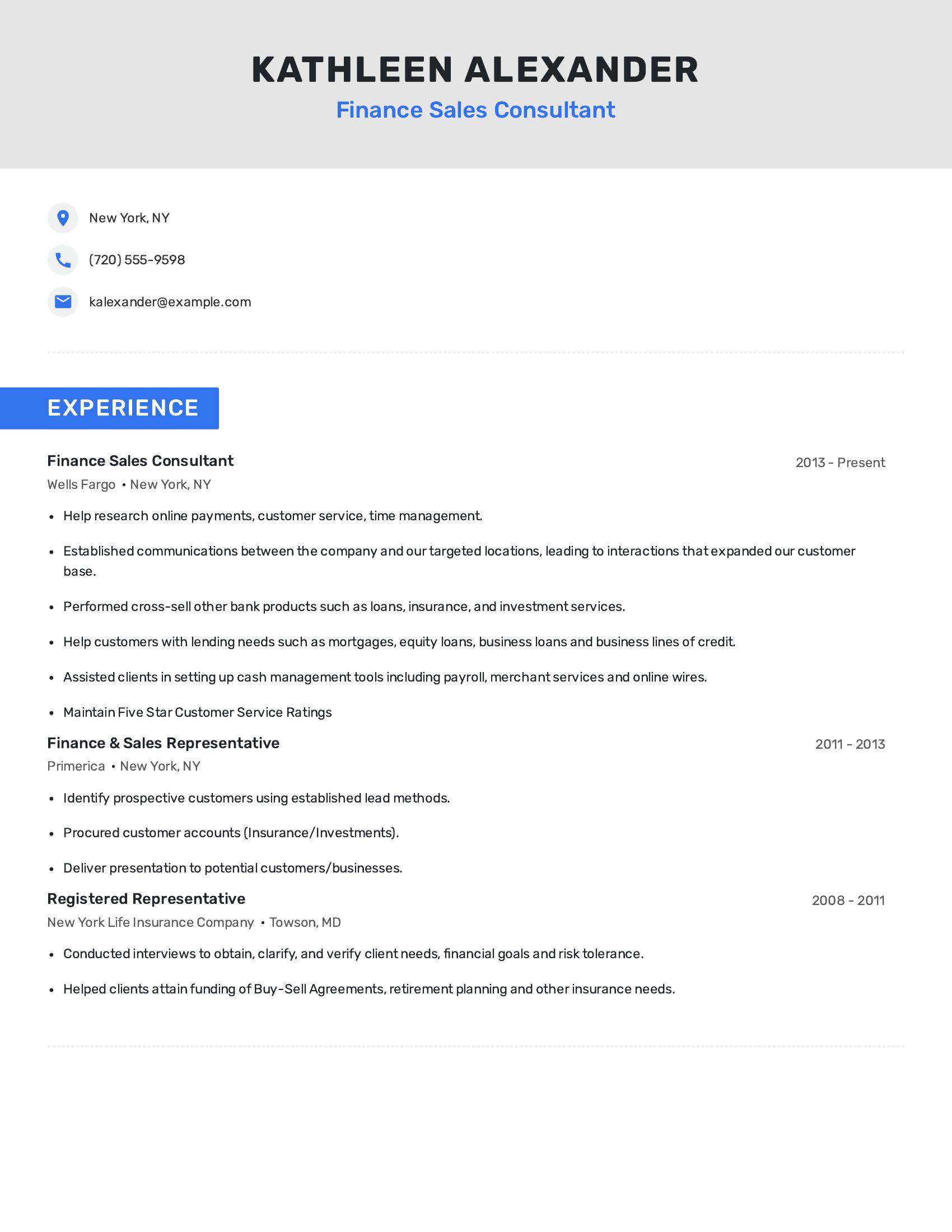 Finance Sales Consultant resume example