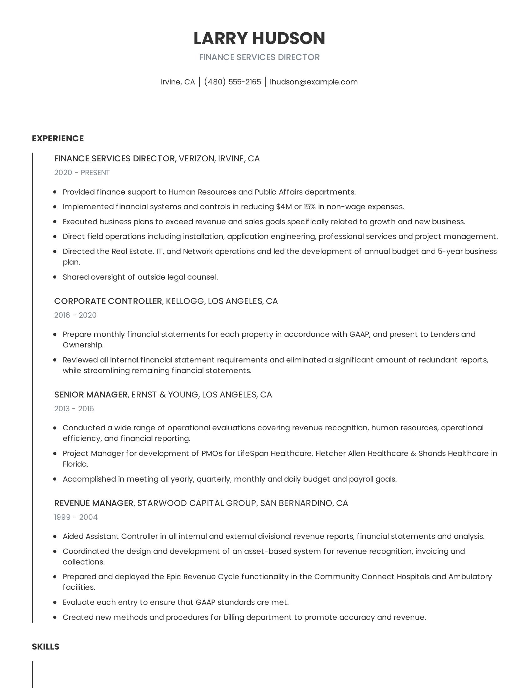 Finance Services Director resume example