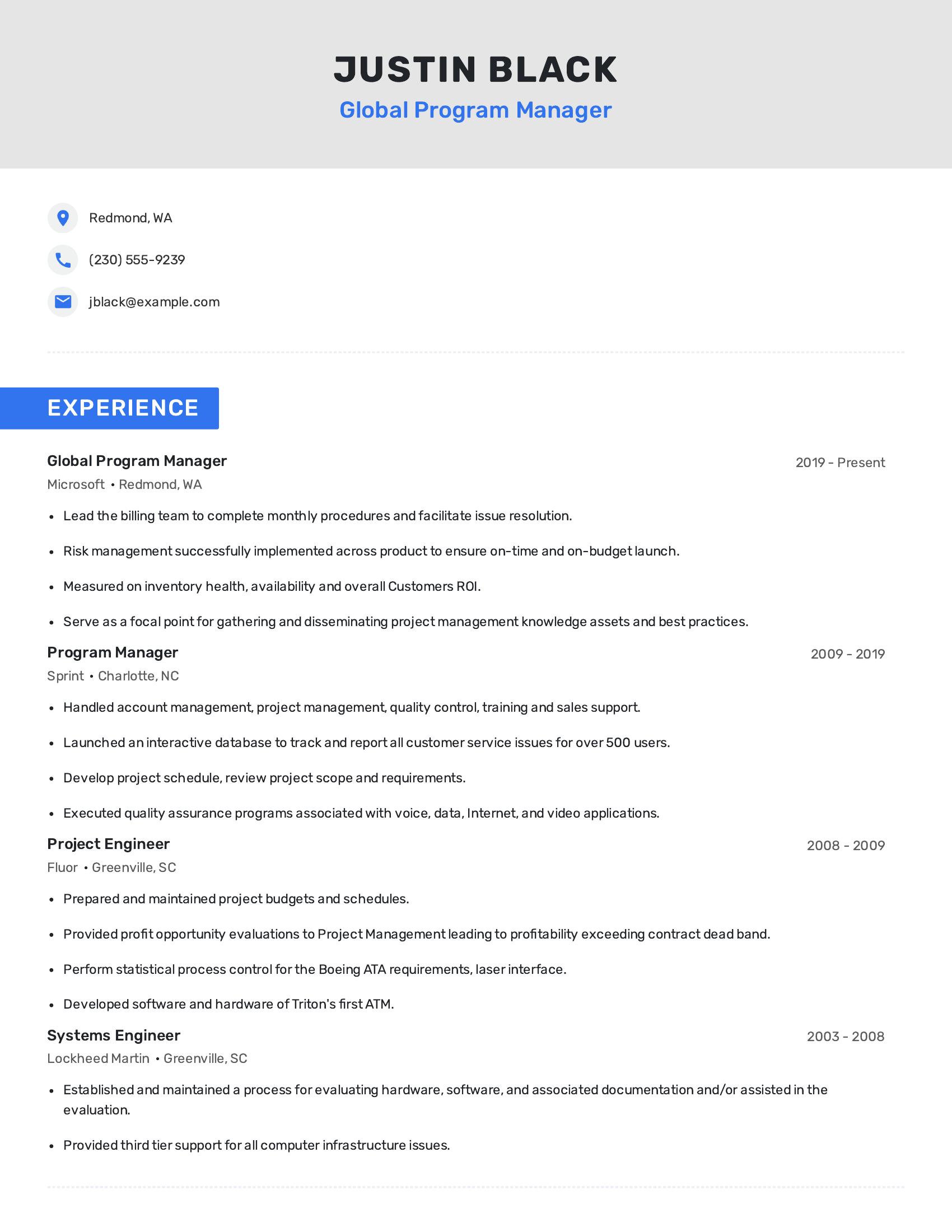 Global Program Manager resume example
