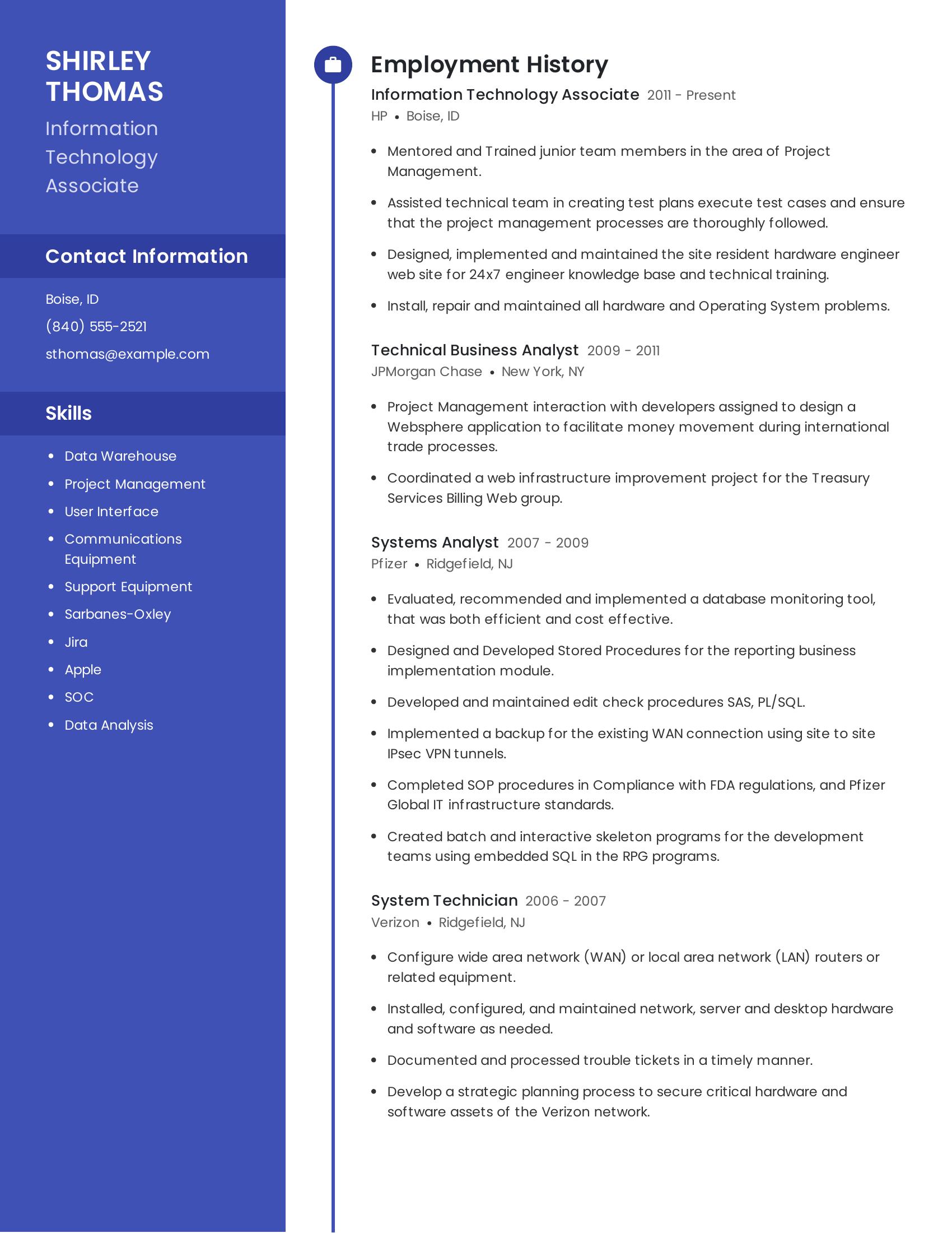 Information Technology Associate resume example