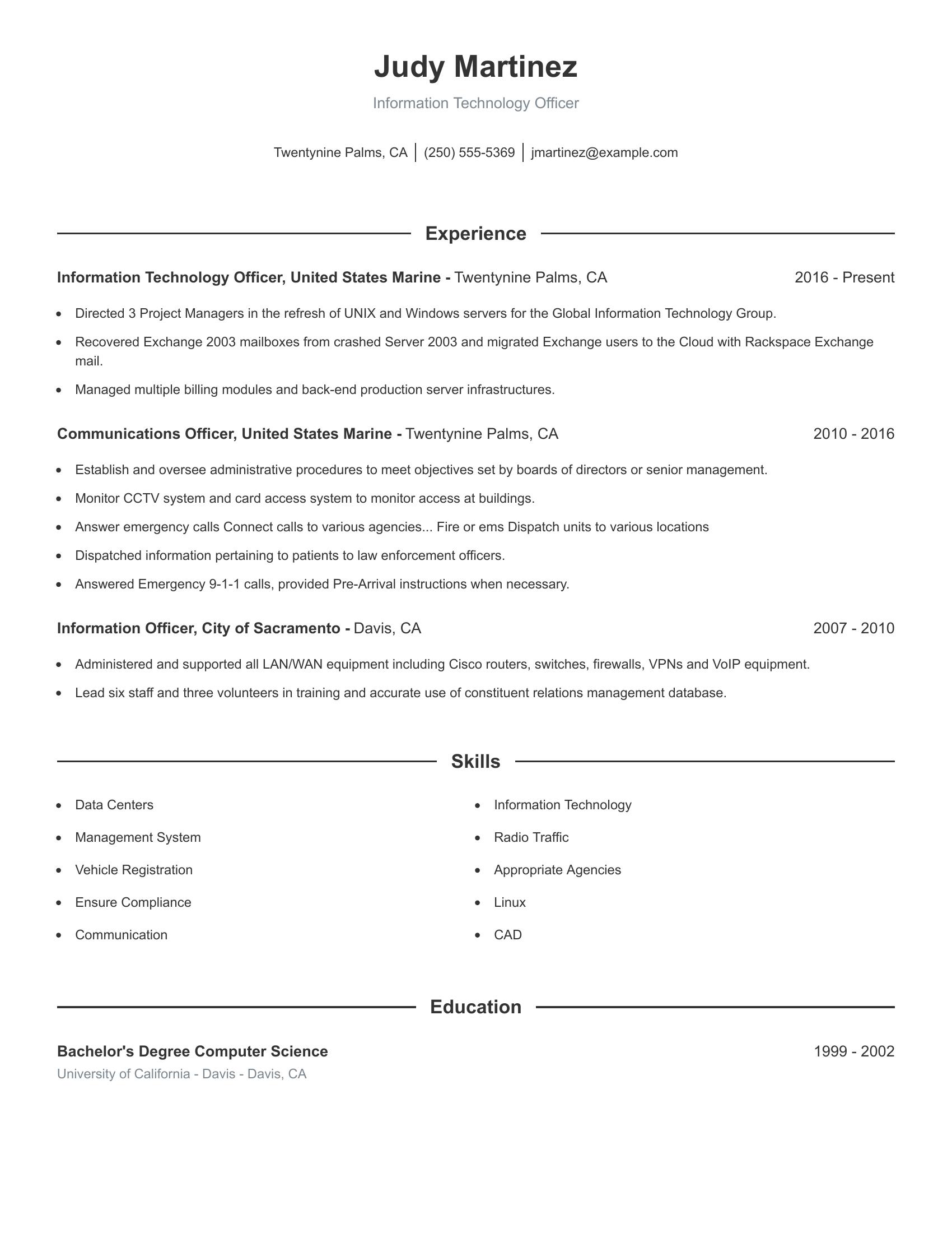 Information Technology Officer resume example