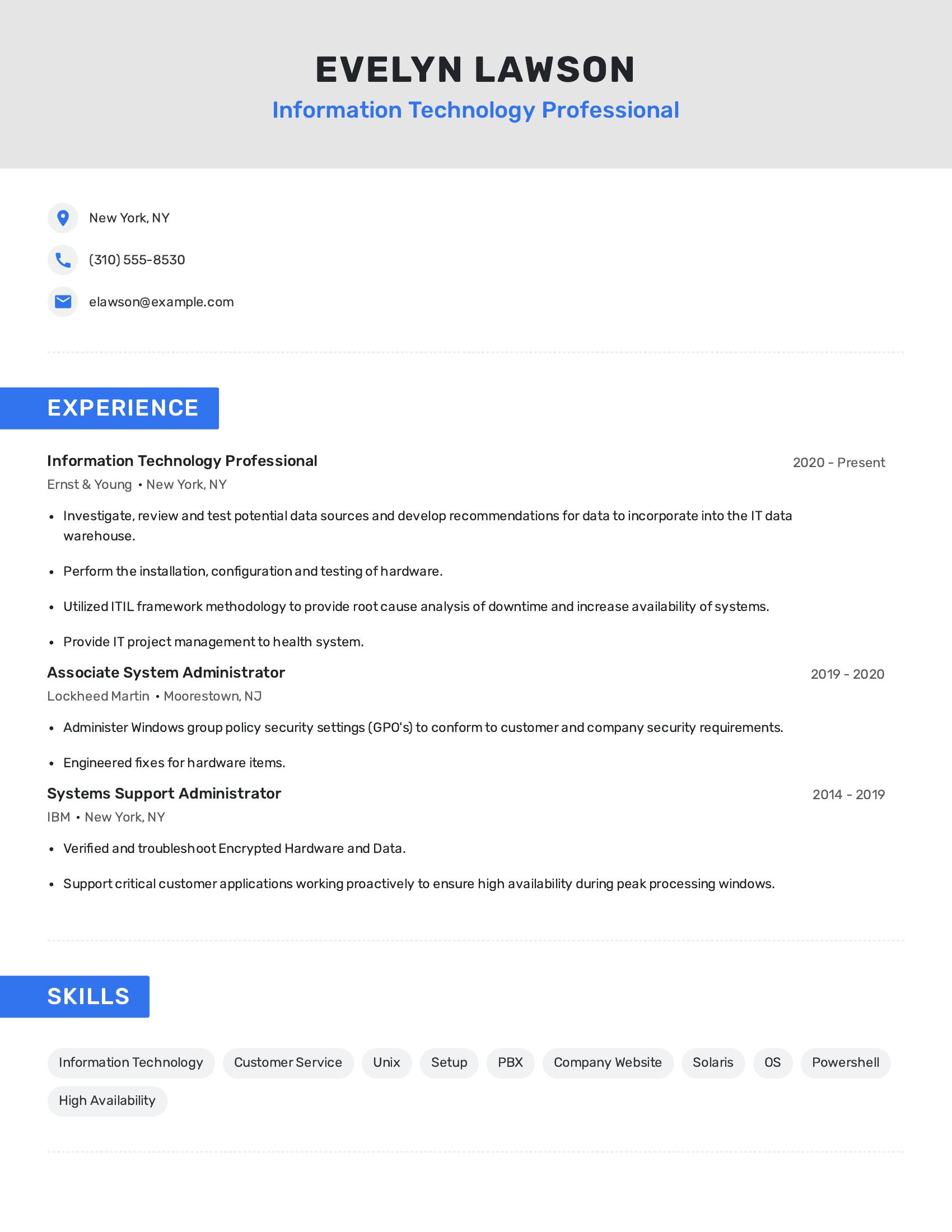 Information Technology Professional resume example