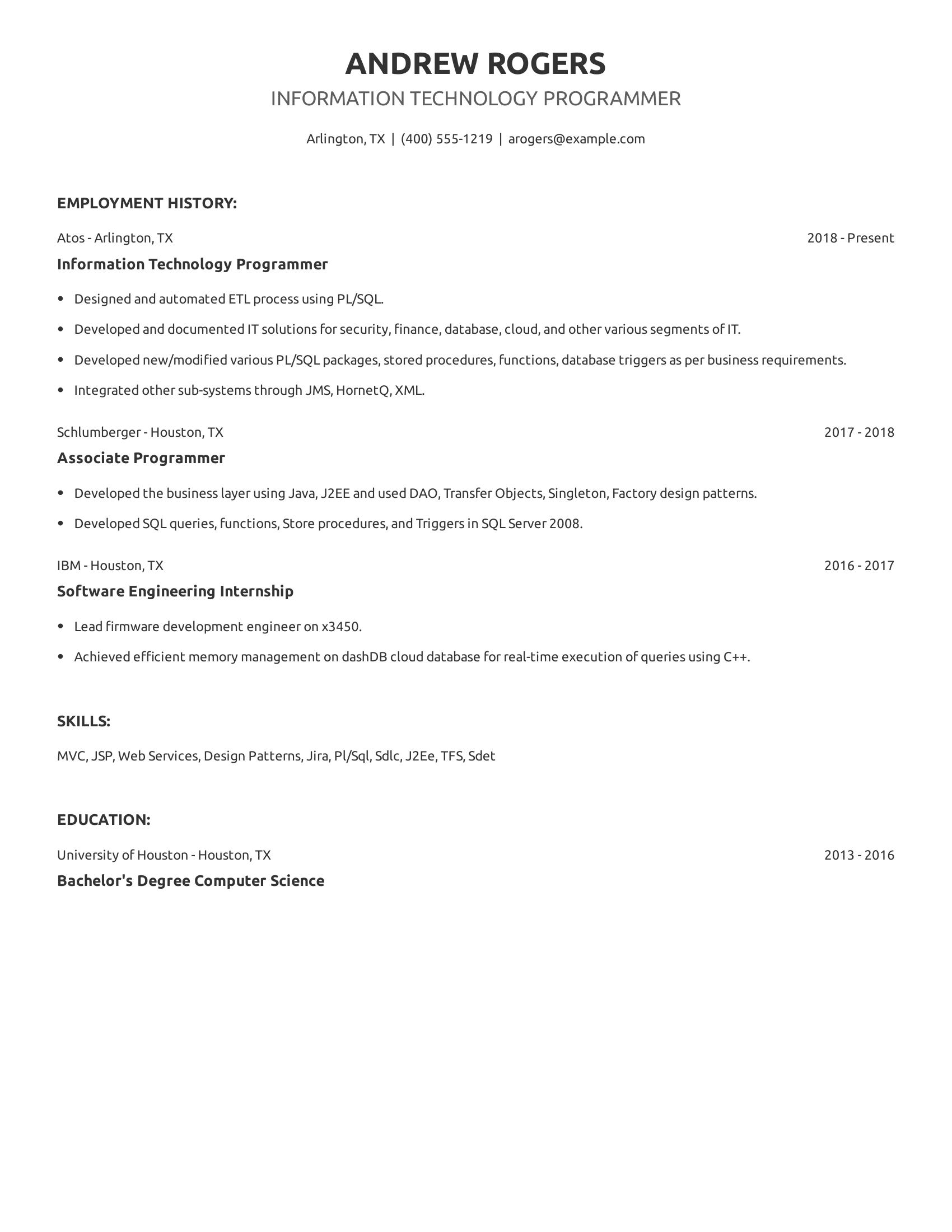 Information Technology Programmer resume example