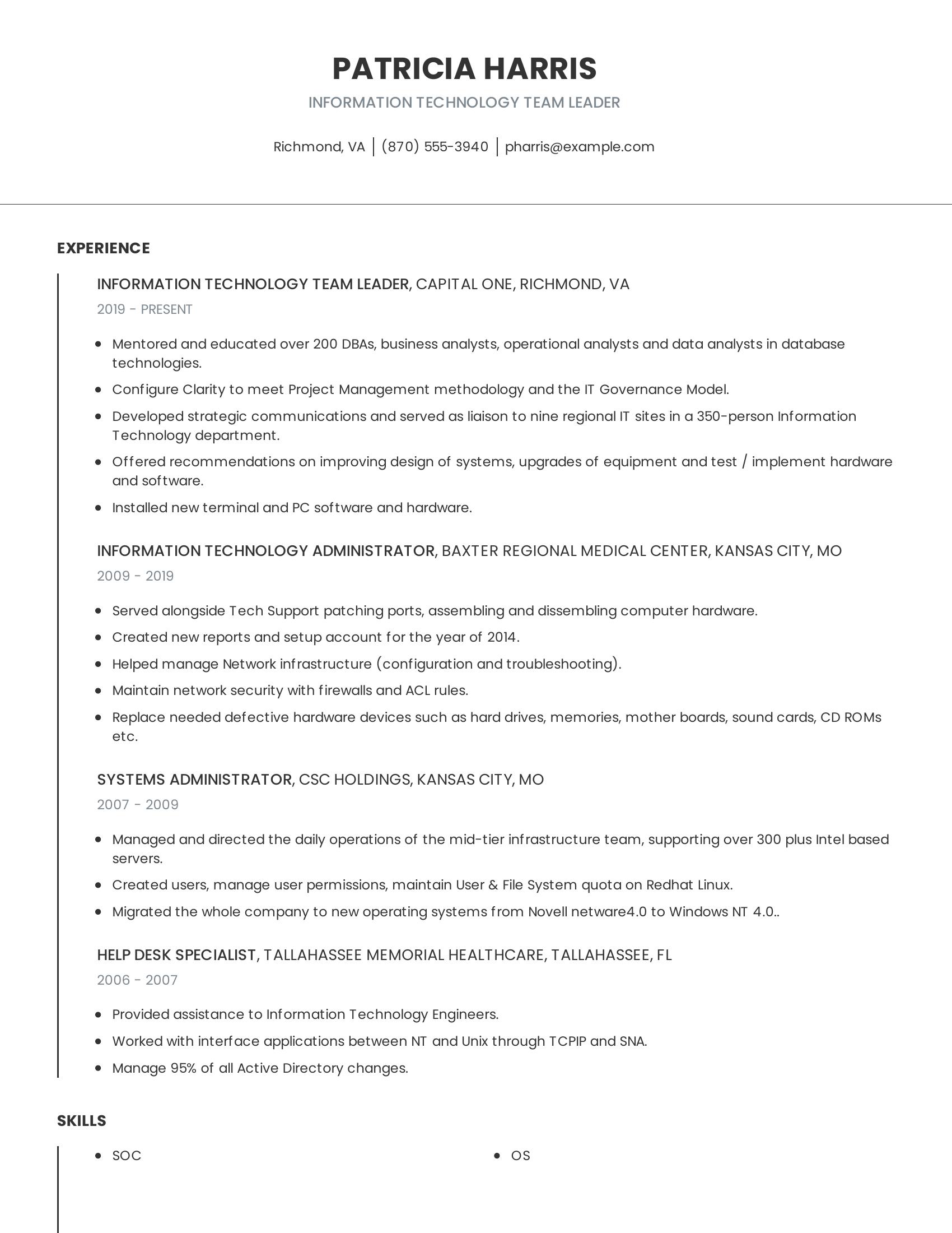 Information Technology Team Leader resume example