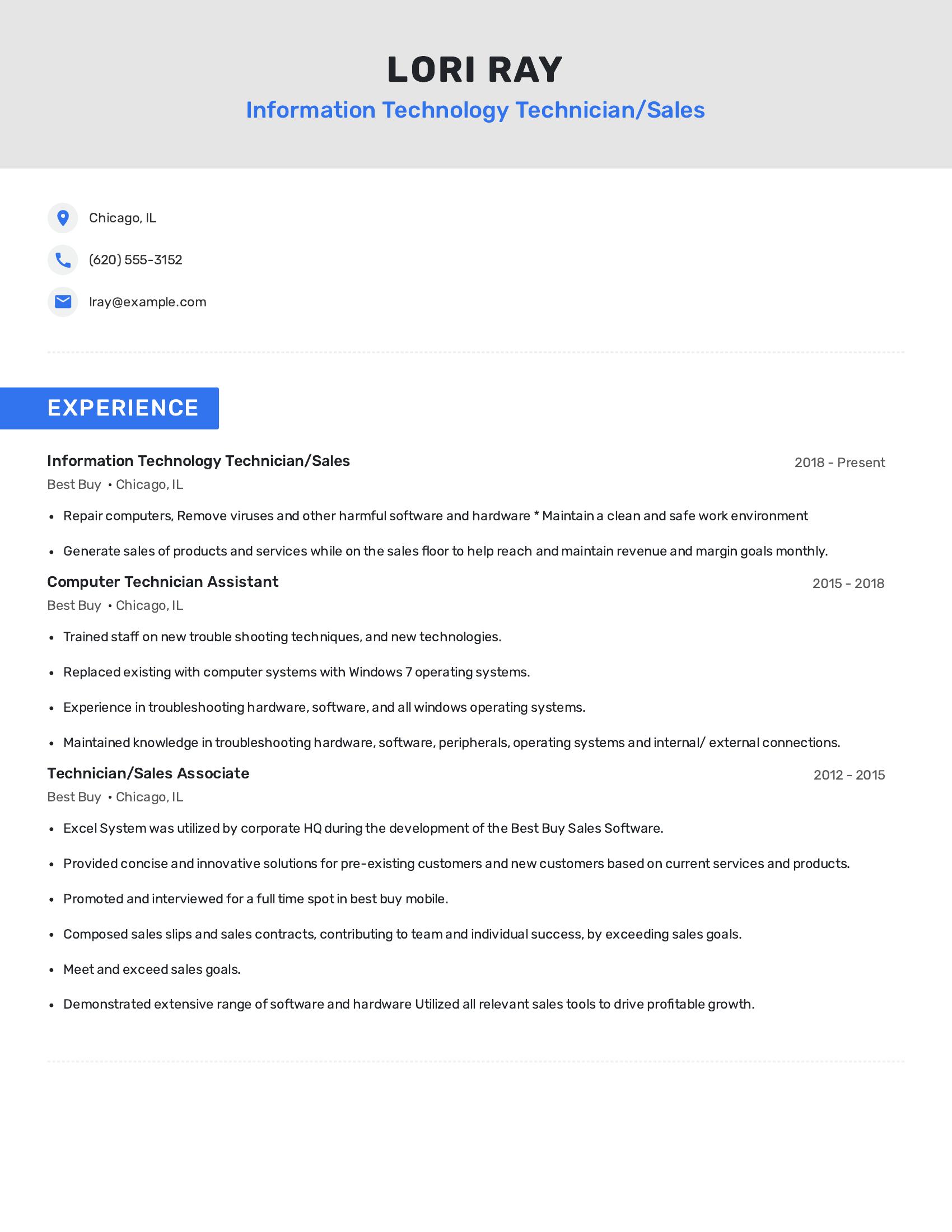 Information Technology Technician/Sales resume example