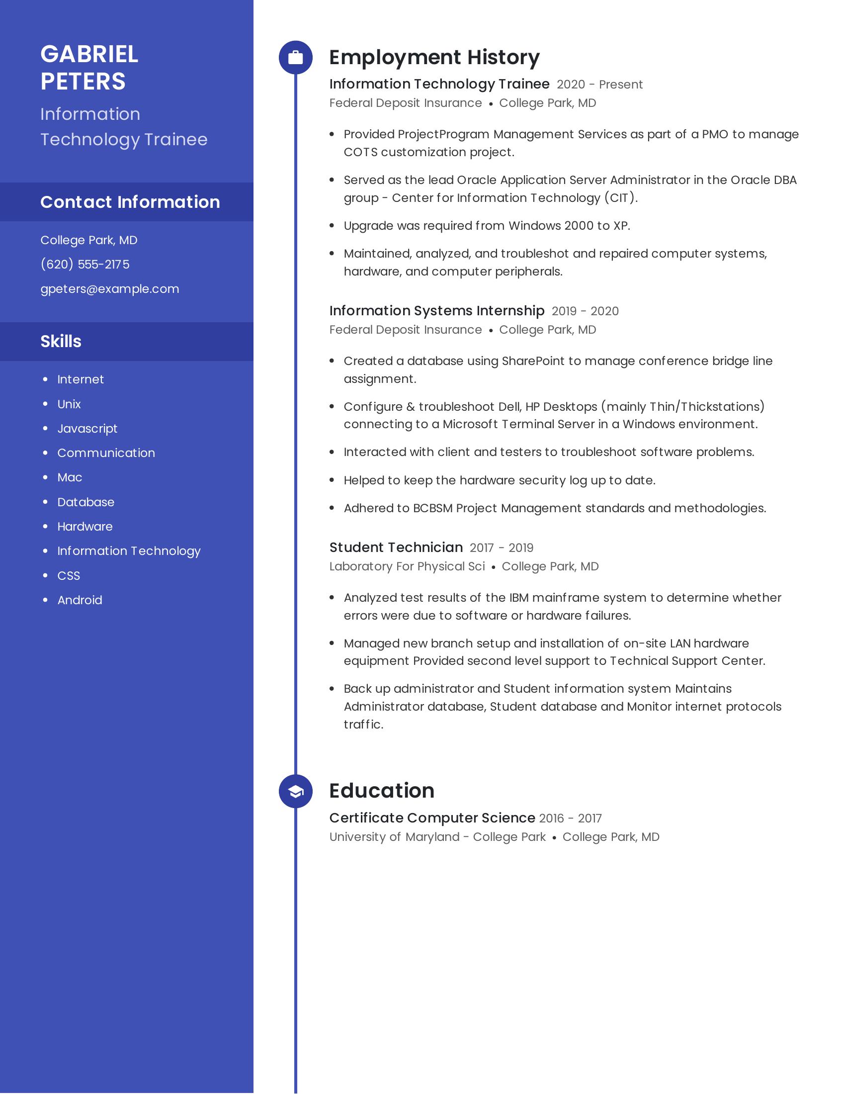 Information Technology Trainee resume example