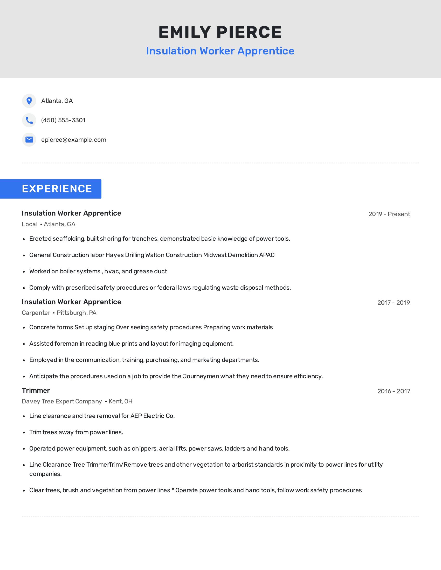 Insulation Worker Apprentice resume example