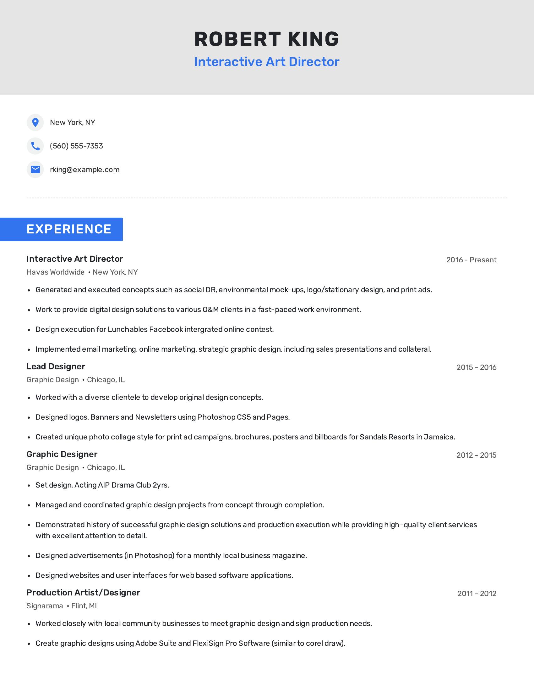 Interactive Art Director resume example