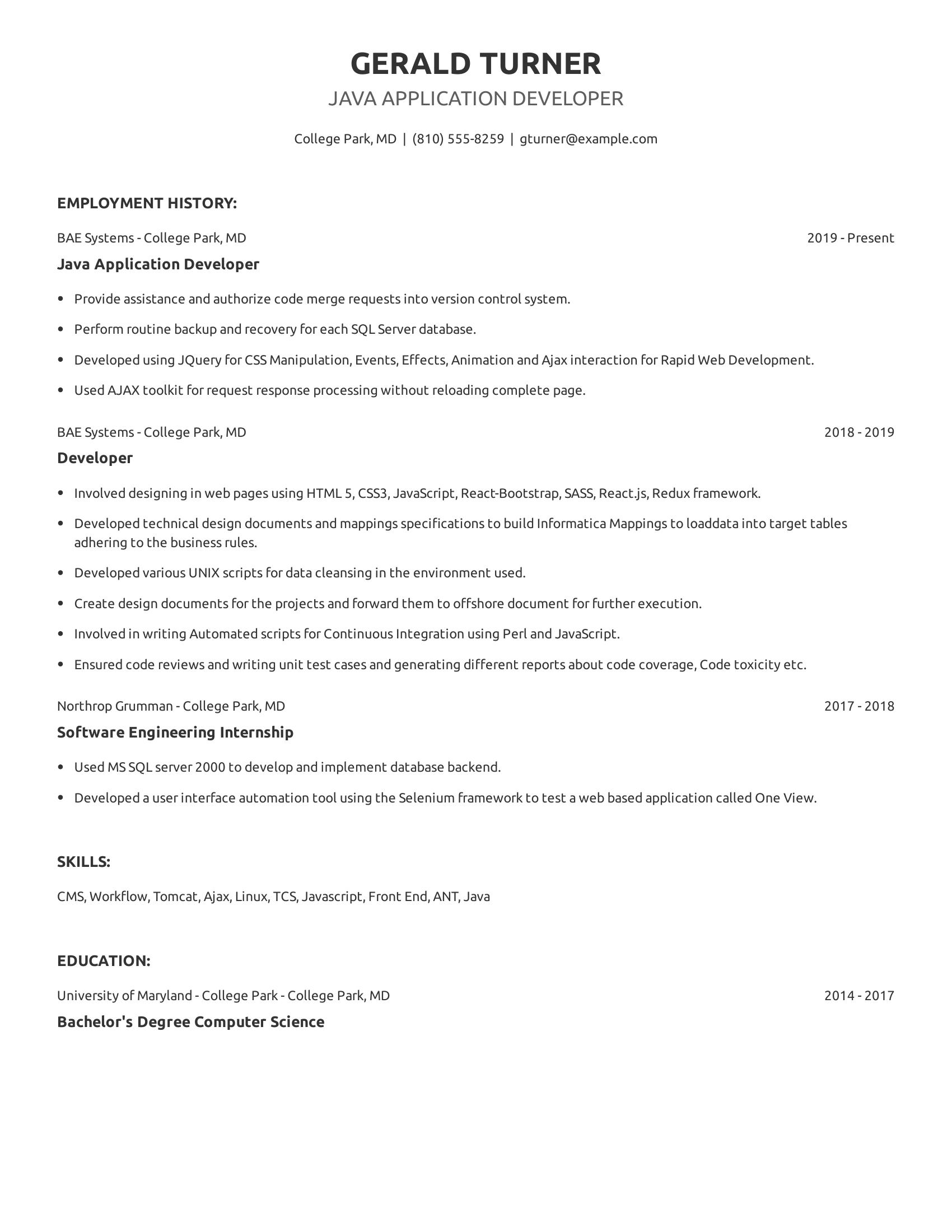 Java Application Developer resume example